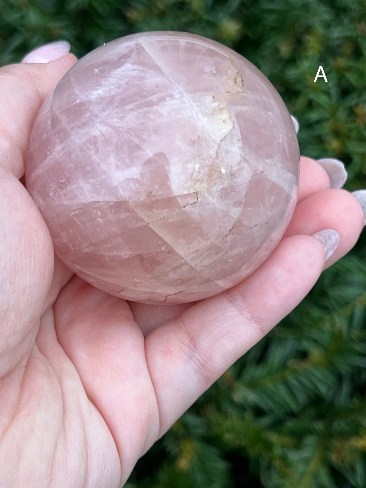 Rose Quartz Spheres image 3