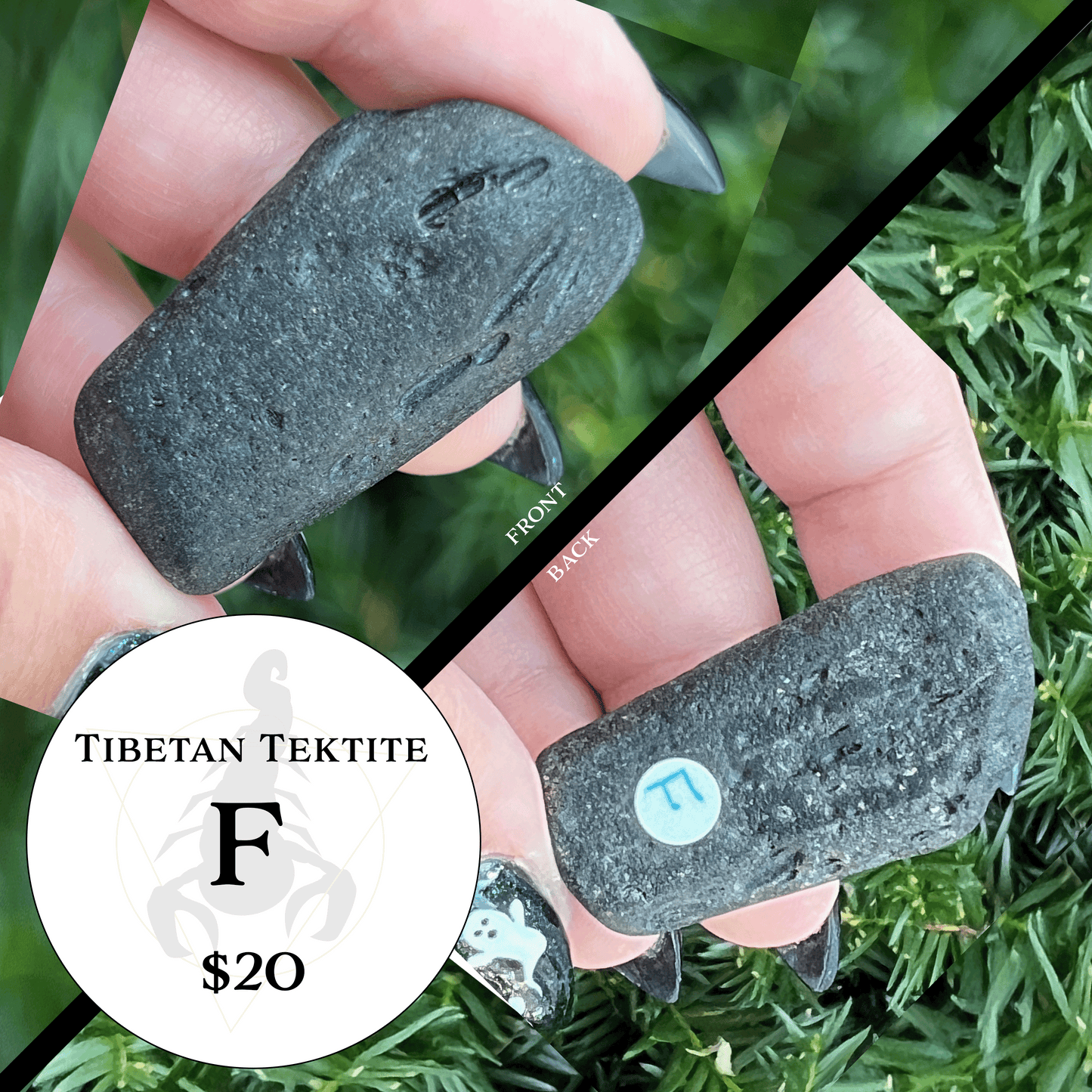 Tibetan Tektite || Choose Your Own Crystal! image 6