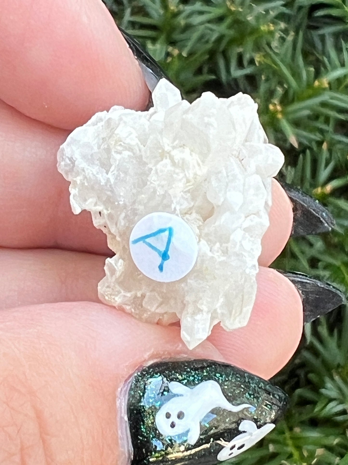 Goddess Quartz Clusters || Choose Your Own Crystal!
