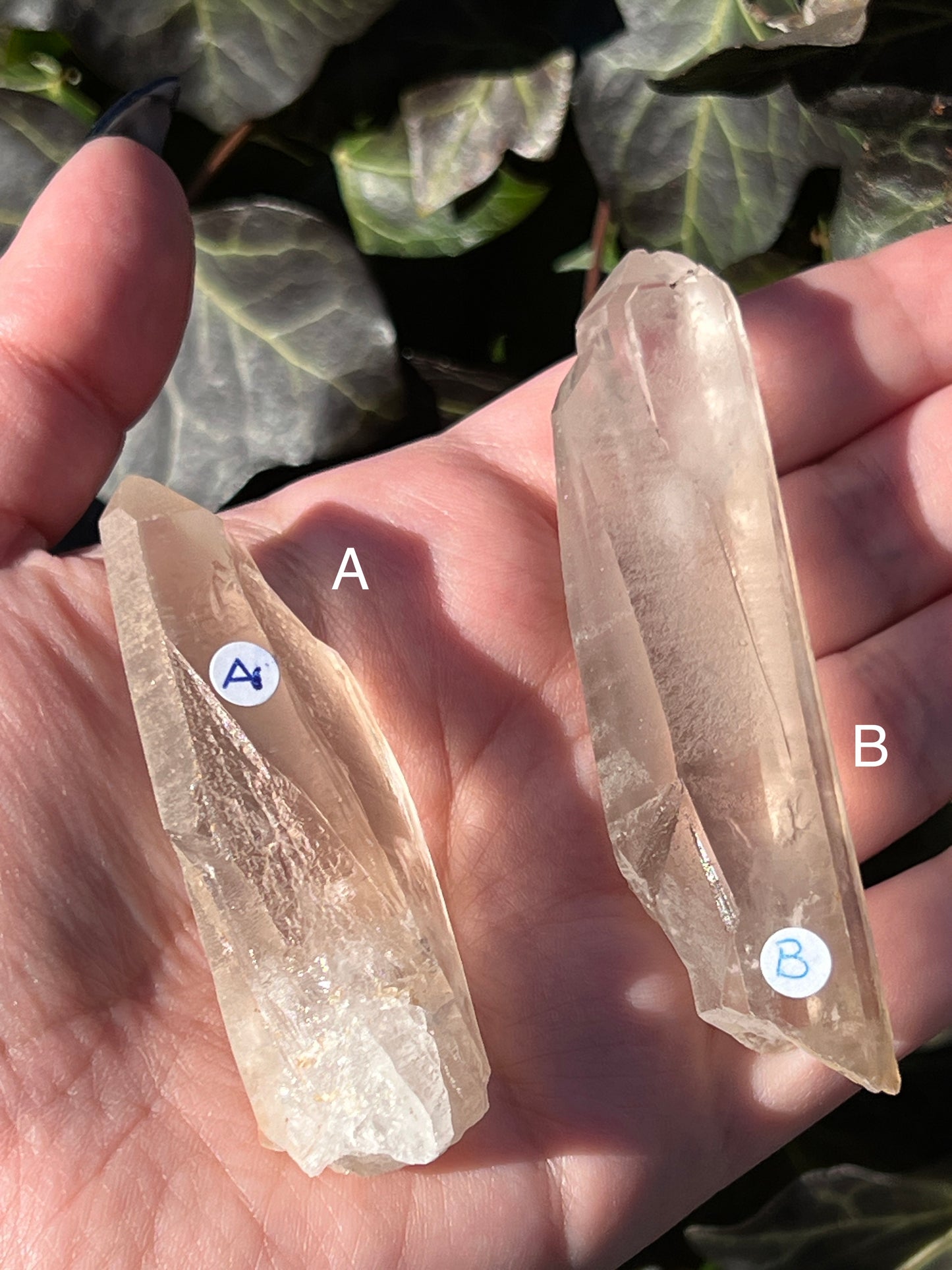 Smoky Lemurian Quartz || Choose Your Own Crystal!