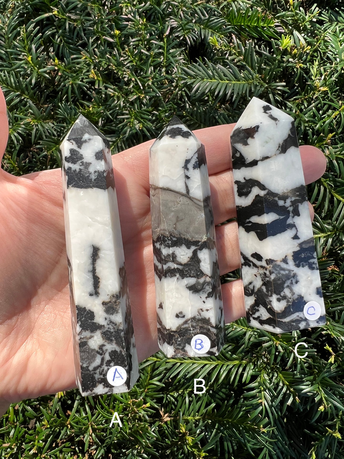 Zebra Stone Towers || Choose Your Own Crystal!