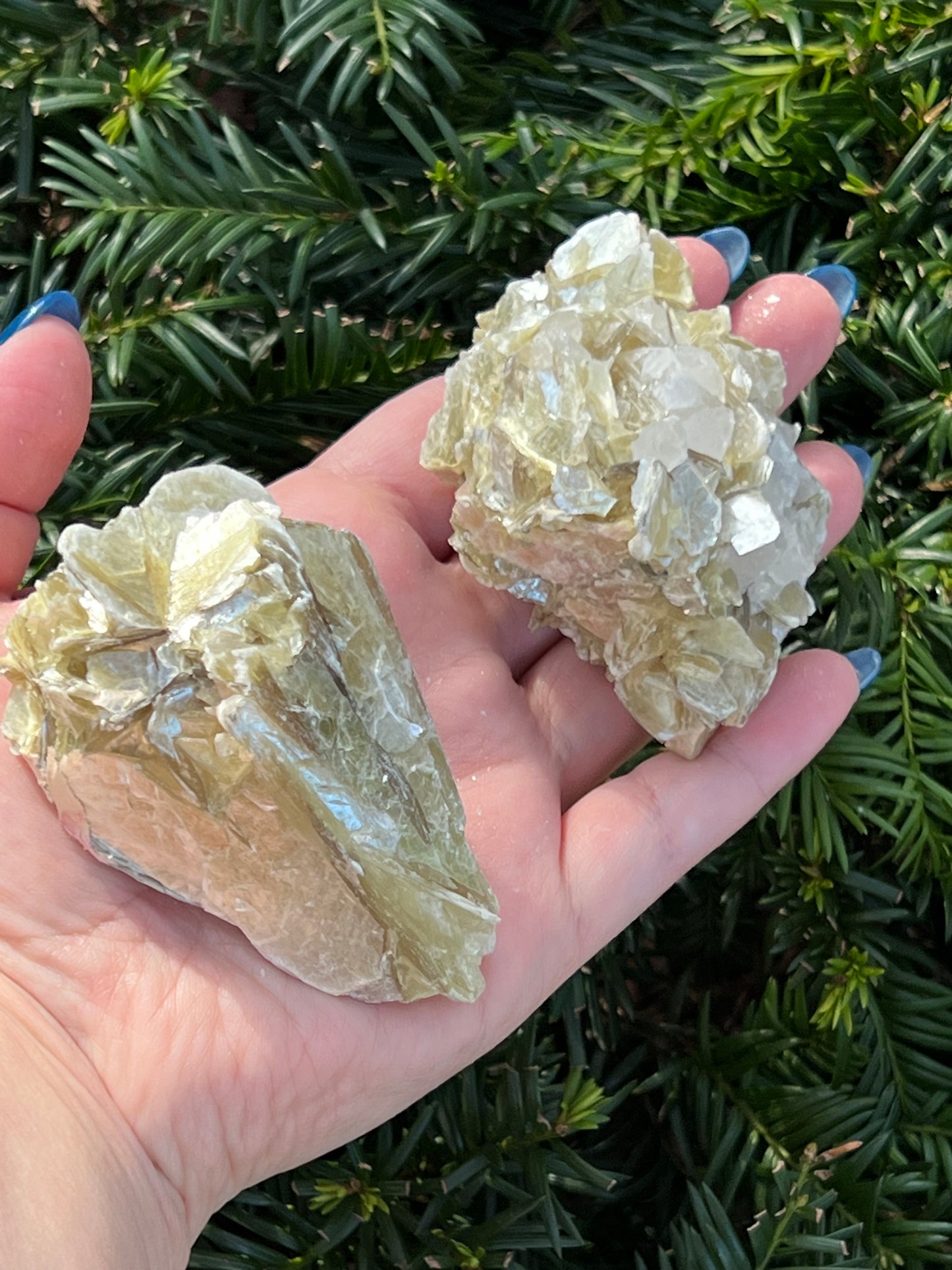 Muscovite Clusters || Choose Your Own Crystal!