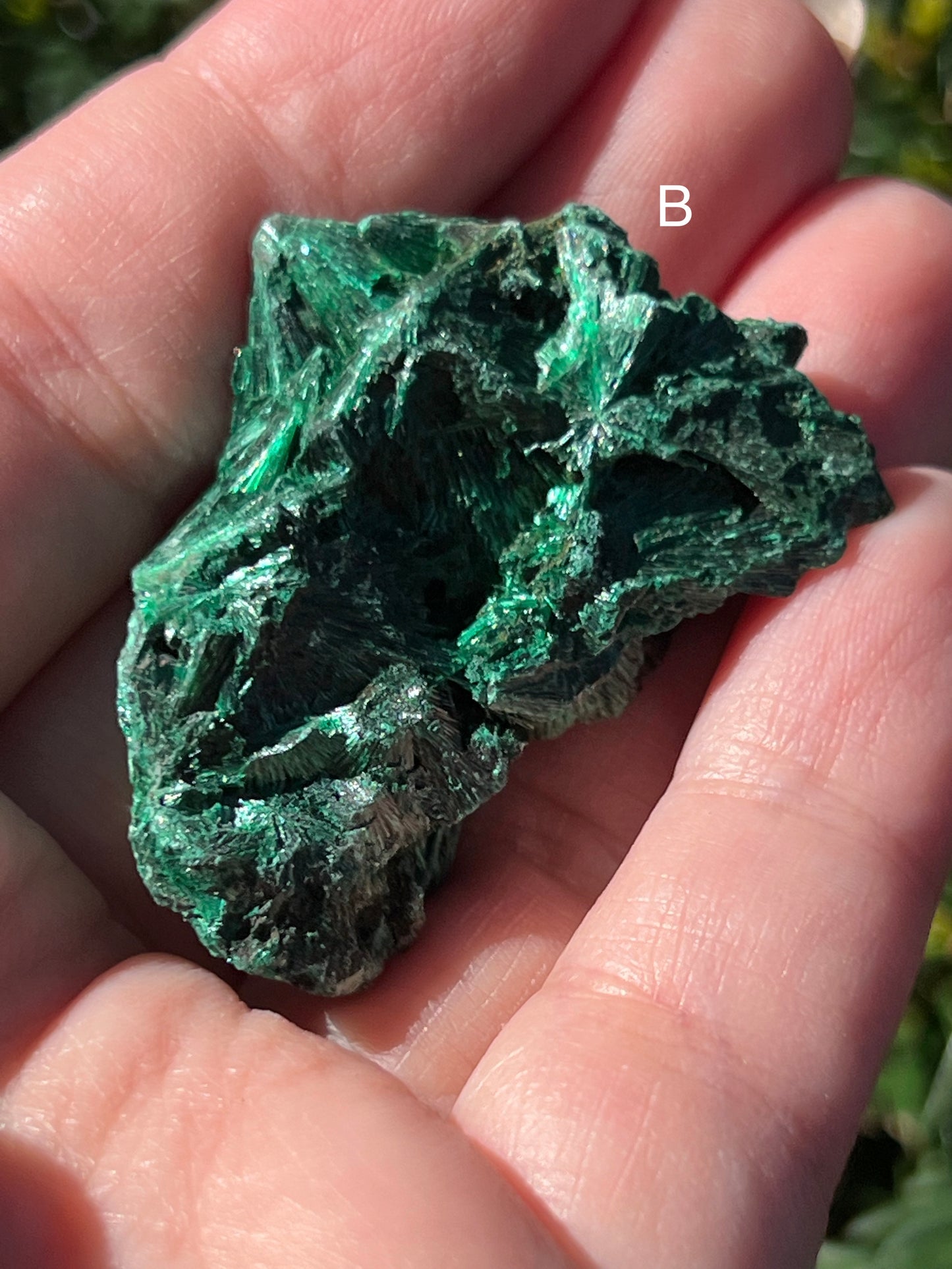 Fibrous Malachite Specimens || Choose Your Own Crystal!