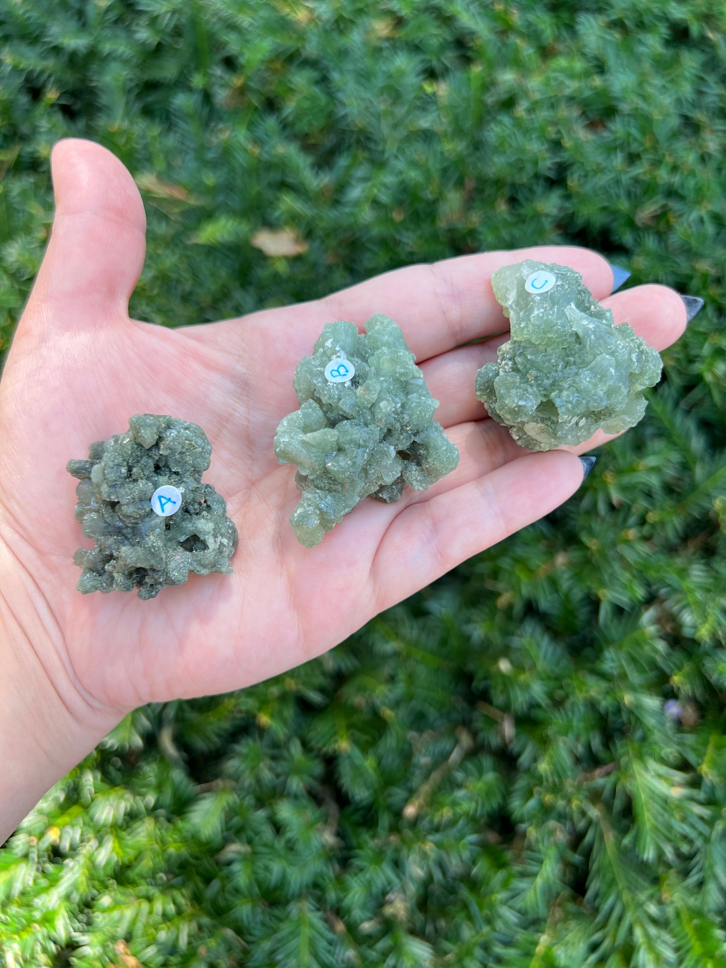 Prehnite & Epidote Clusters || Choose Your Own Crystal