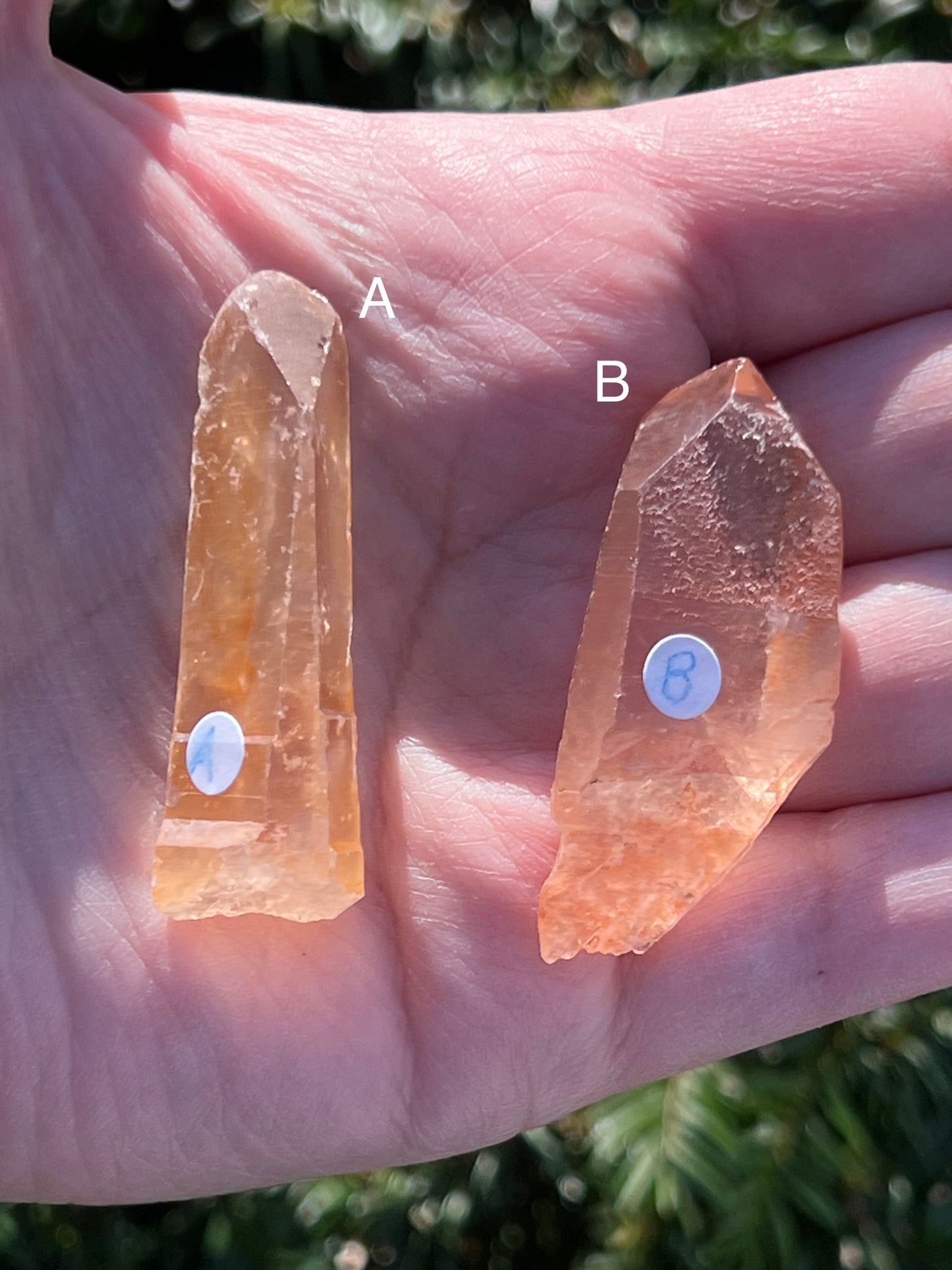 Tangerine Lemurian Quartz || Choose Your Own Crystal!