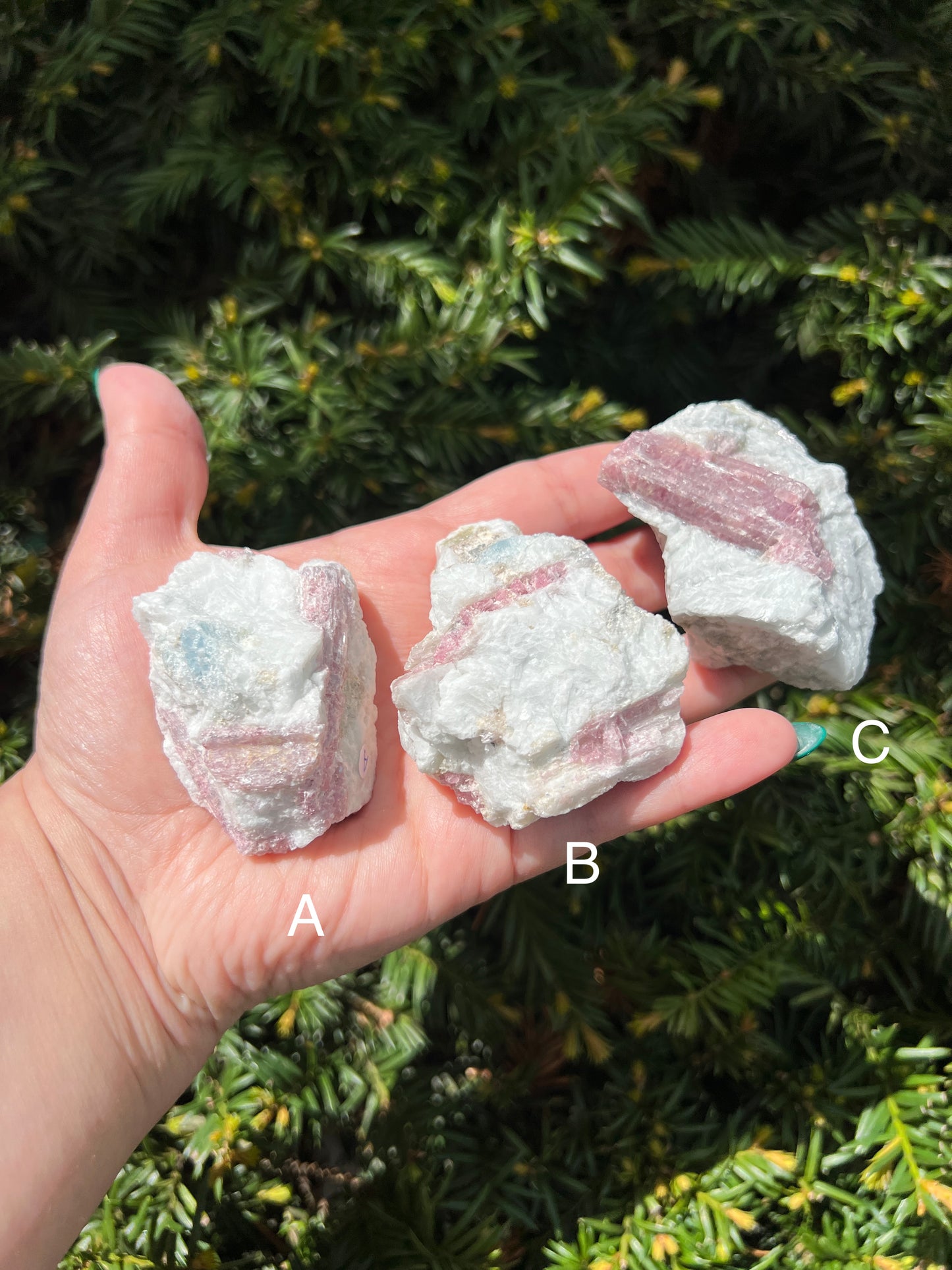 Aquamarine and Pink Tourmaline Clusters || Choose Your Own Crystal!