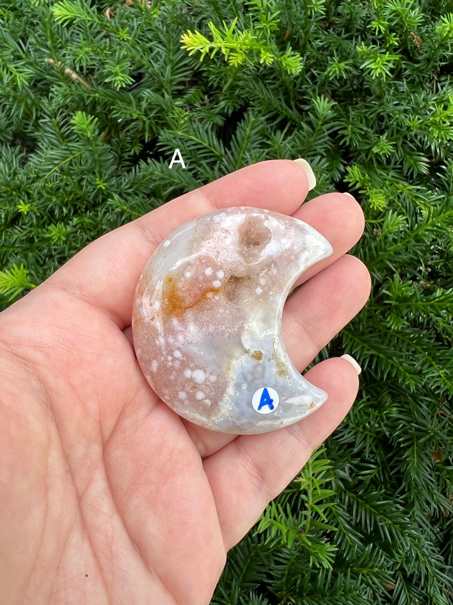 Flower Agate Moons || Choose Your Own Crystal!