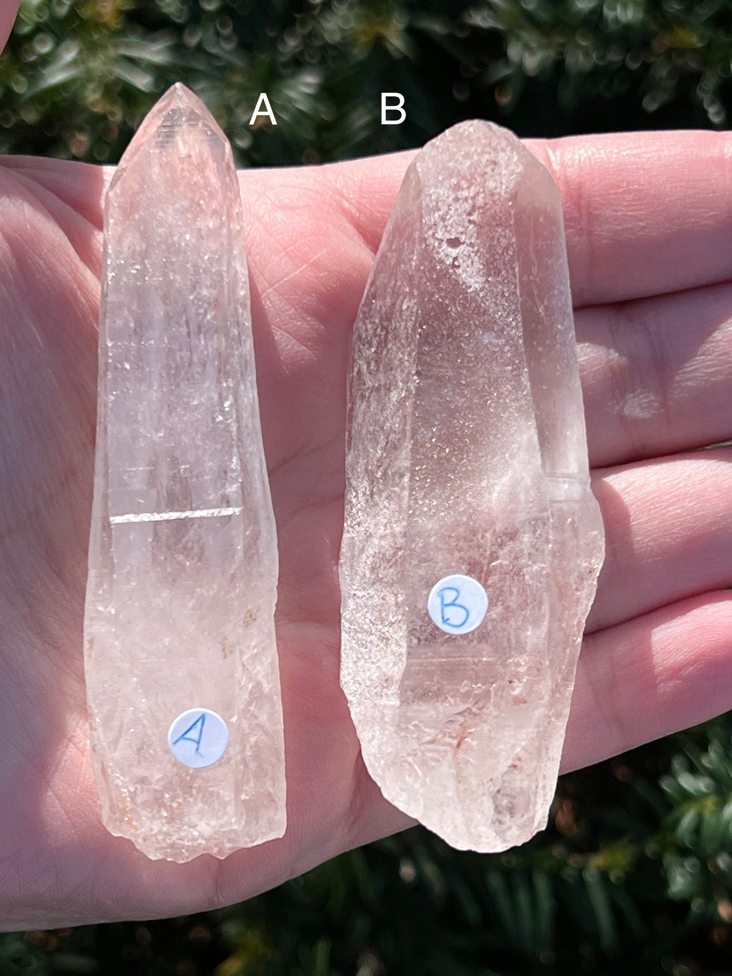 Strawberry Lemurian Quartz || Choose Your Own Crystal!