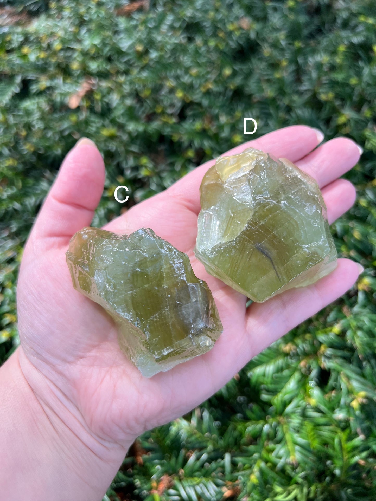 Green Calcite Chunks || Choose Your Own Crystal! image 3