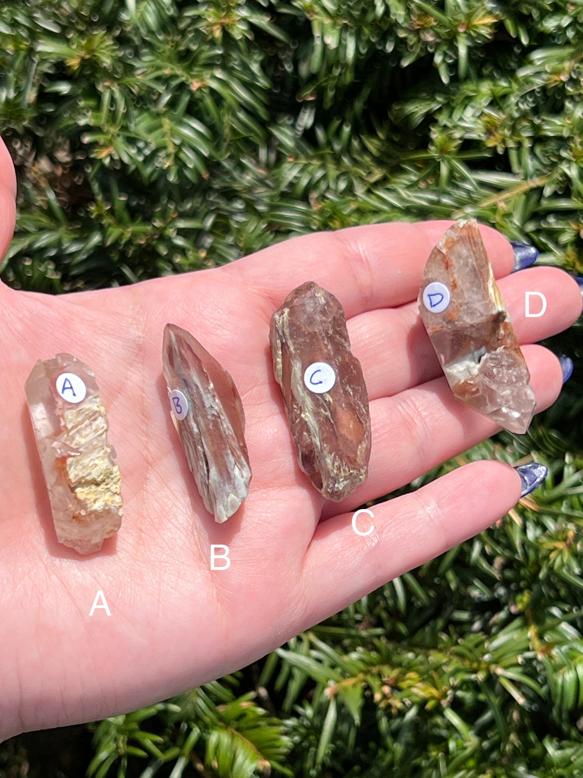 Angel Amphibole Lemurian Quartz || Choose Your Own Crystal! image 2