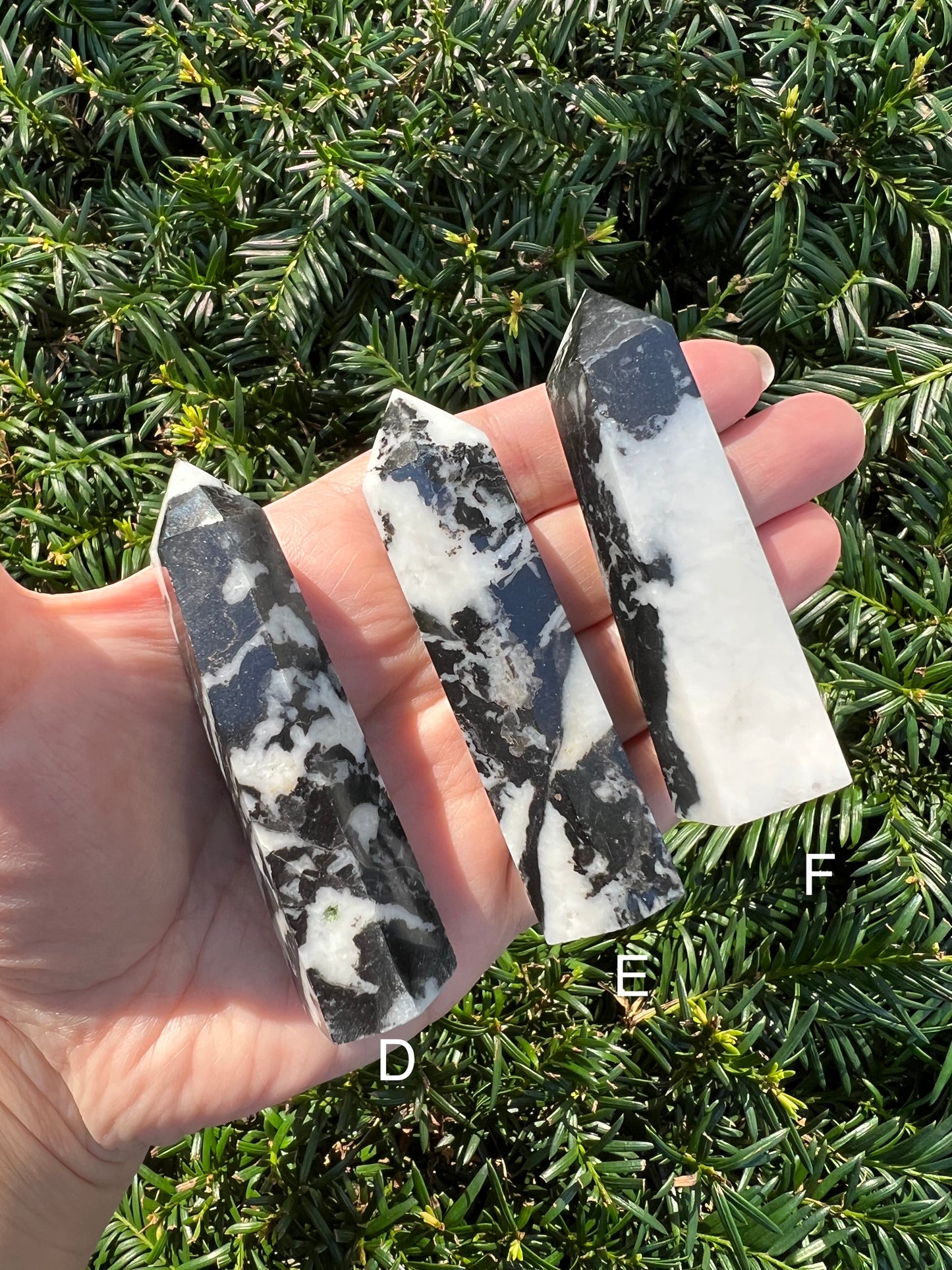 Zebra Stone Towers || Choose Your Own Crystal!