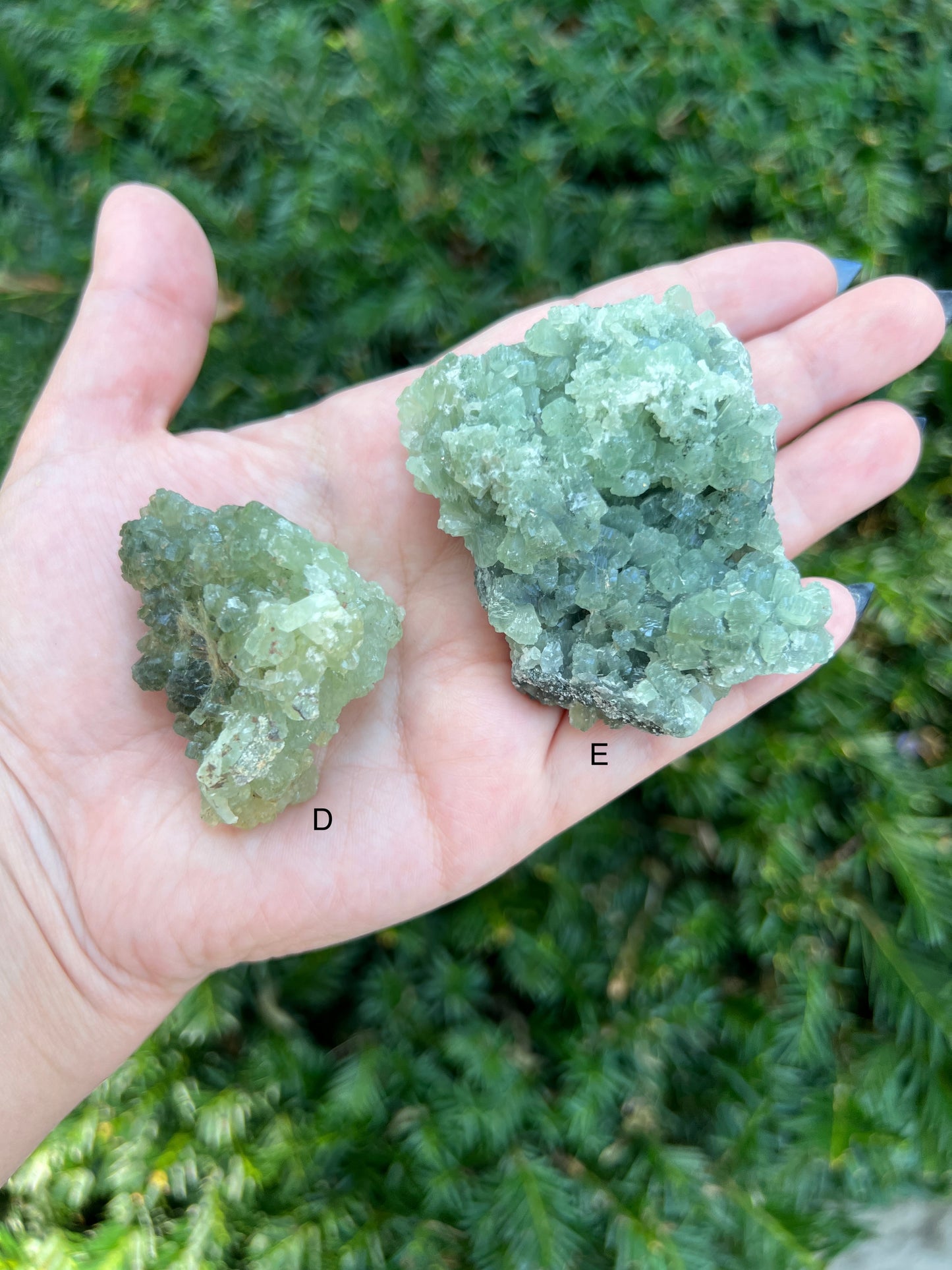 Prehnite & Epidote Clusters || Choose Your Own Crystal