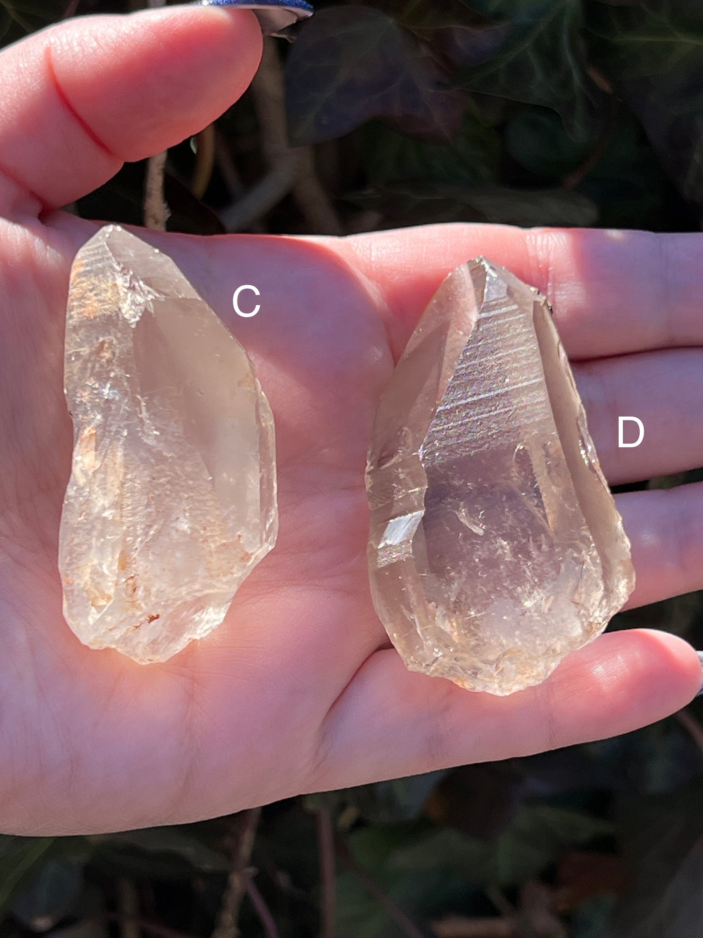 Smoky Lemurian Quartz || Choose Your Own Crystal!