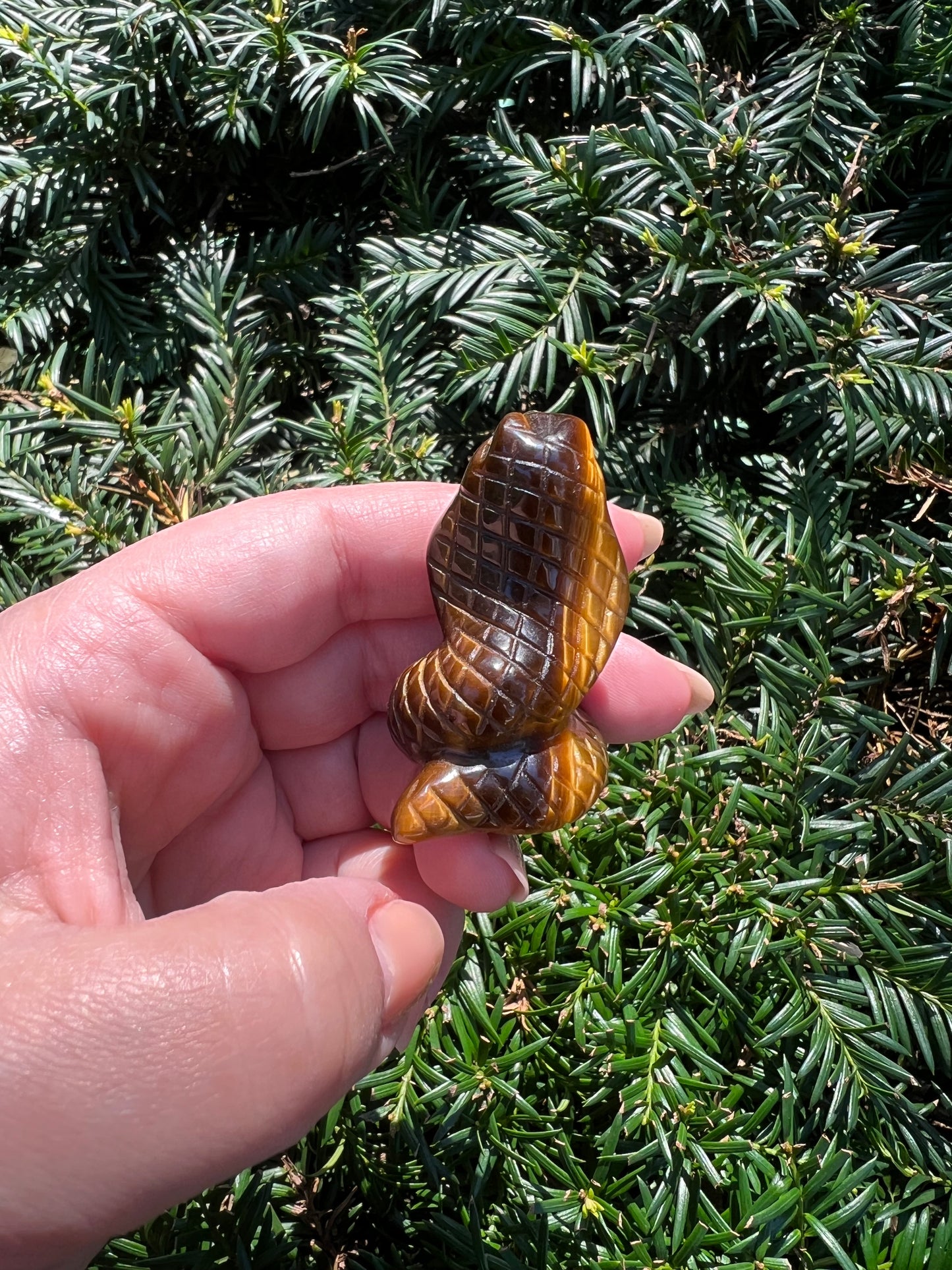 Tigers Eye Cobras || Intuitively Selected Tigers Eye Cobras