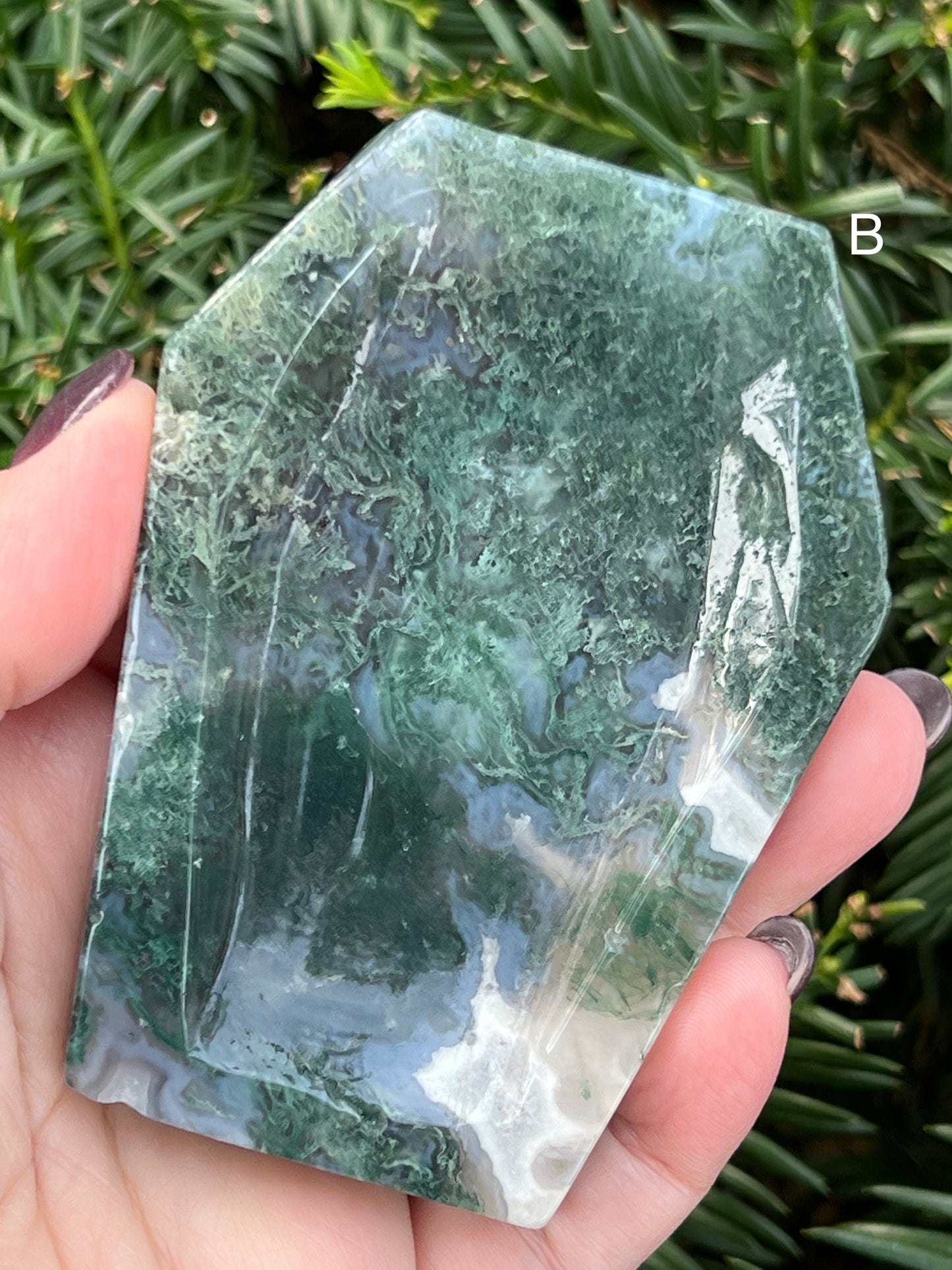 Moss Agate Coffin Bowls || Choose Your Own Crystal!