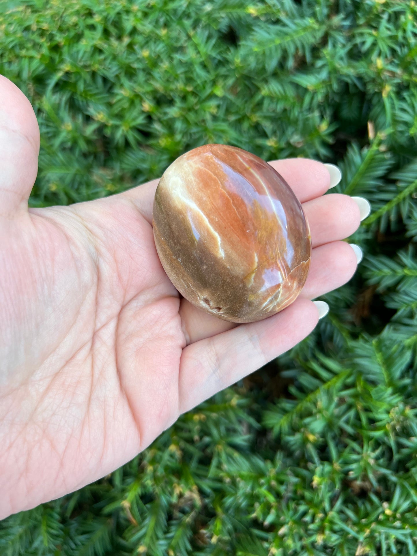 Petrified Wood Palm Stone || Intuitively Selected Palm Stone