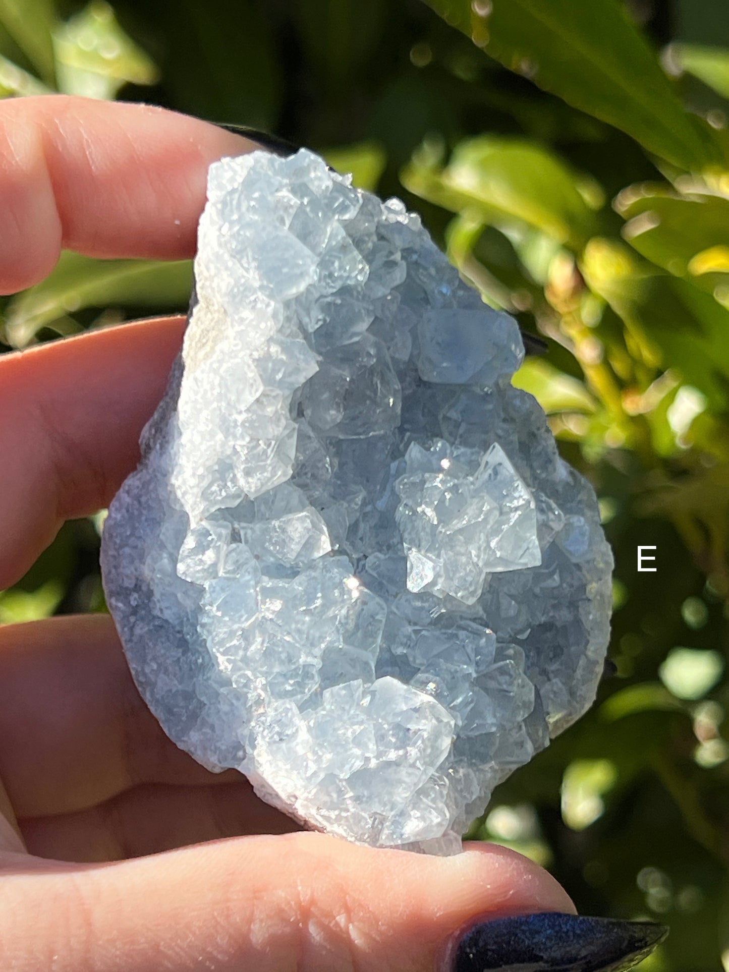 Celestite Clusters || Choose Your Own Crystal!