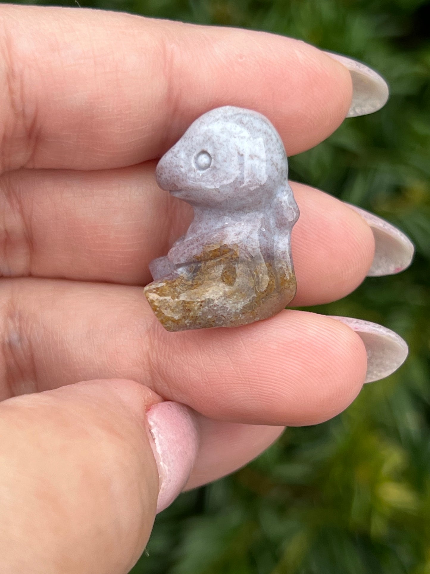 Ocean Jasper Charmander || Intuitively Selected Charmander Crystal