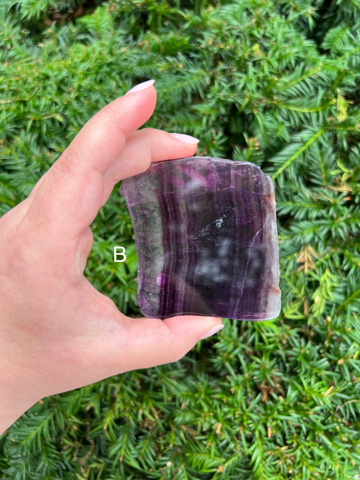 Fluorite Slabs || Choose Your Own Crystal!