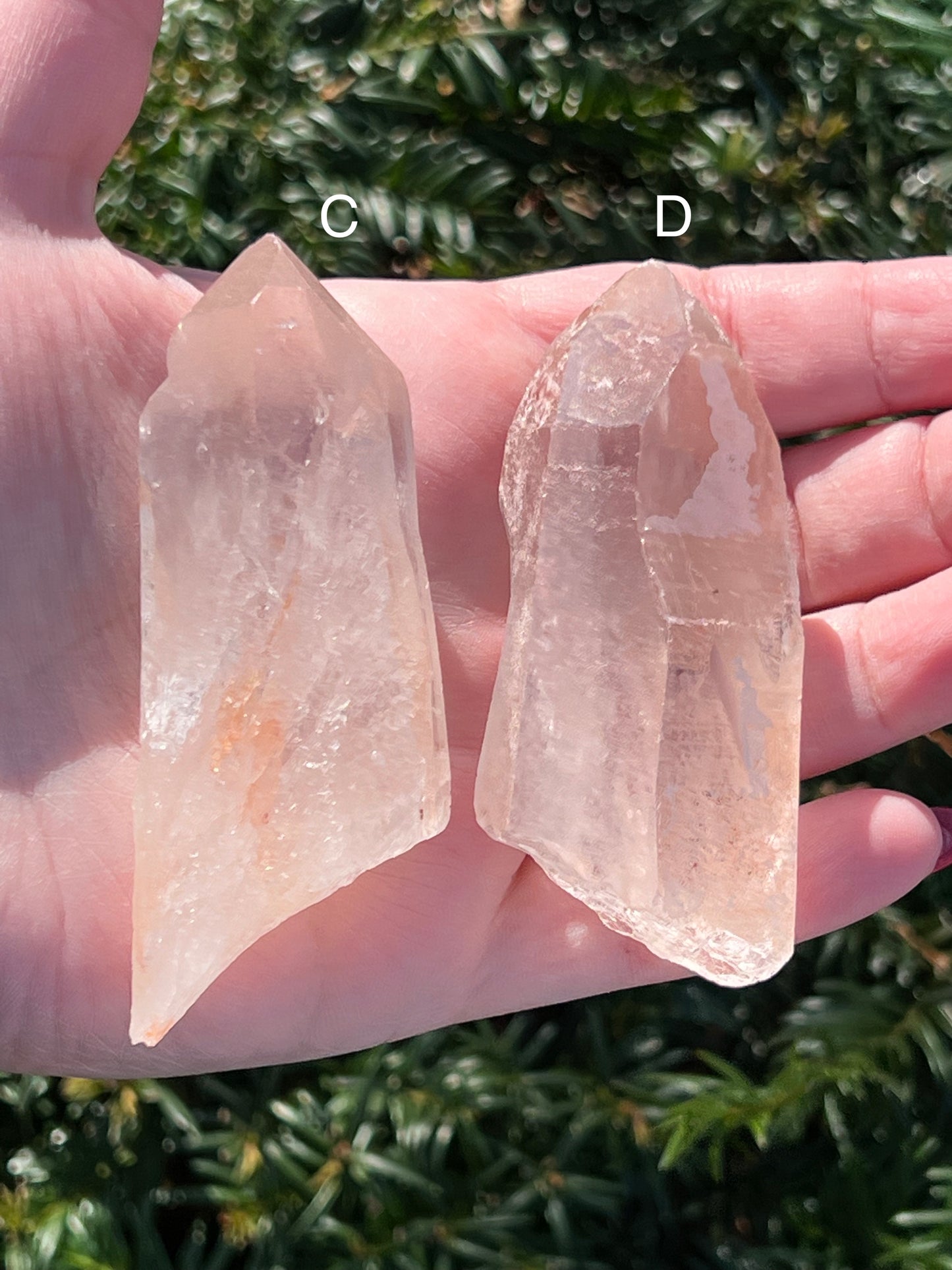 Strawberry Lemurian Quartz || Choose Your Own Crystal!