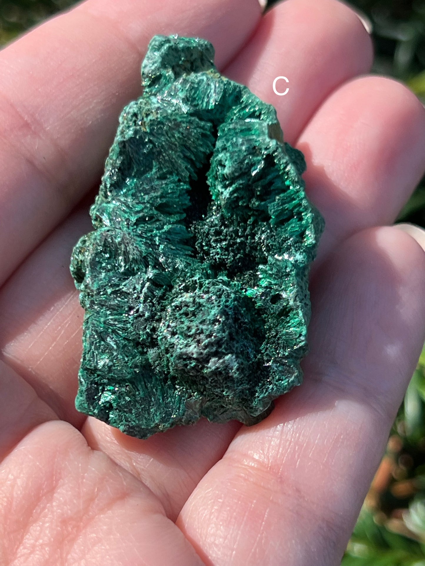 Fibrous Malachite Specimens || Choose Your Own Crystal!