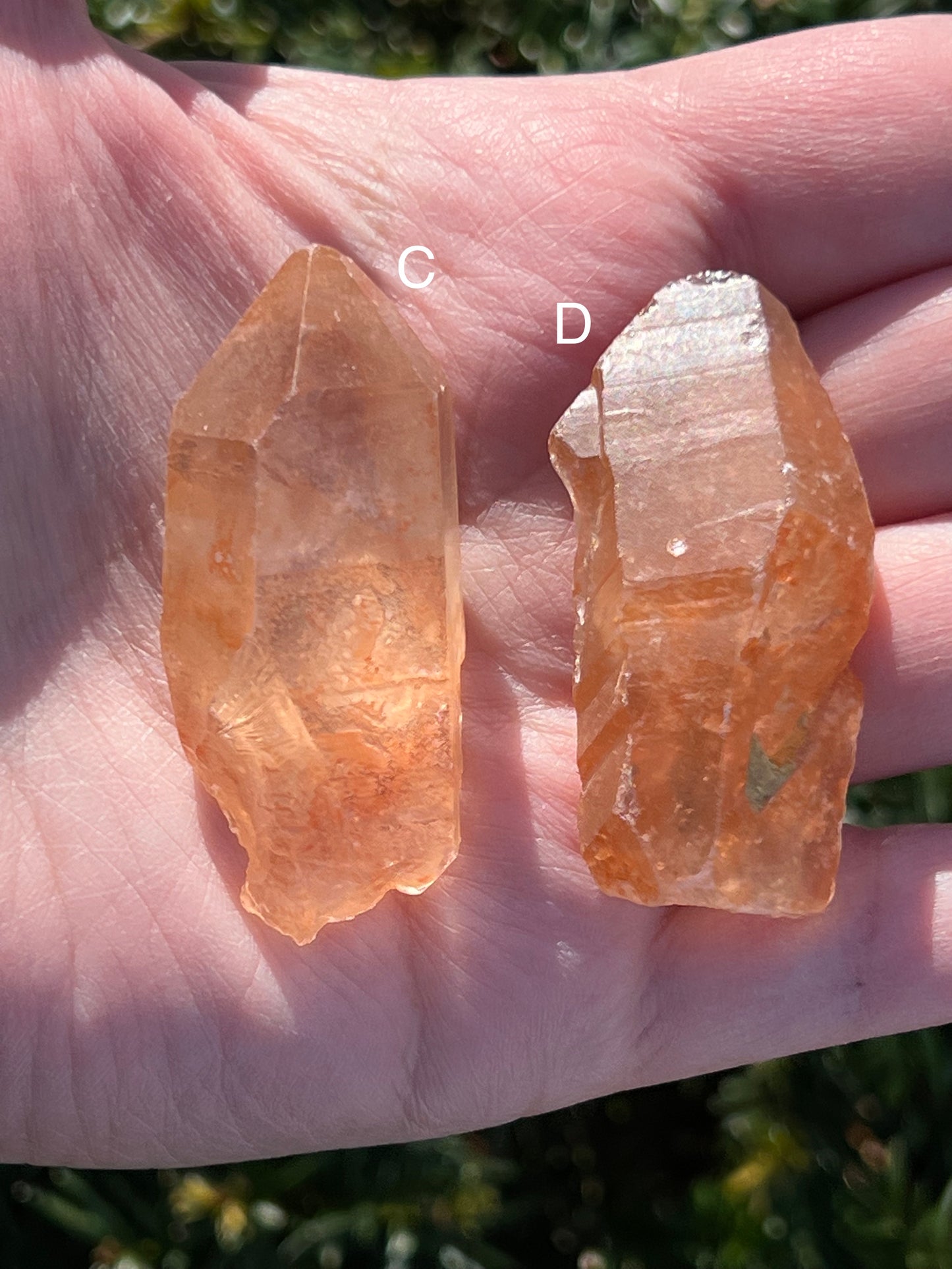 Tangerine Lemurian Quartz || Choose Your Own Crystal!