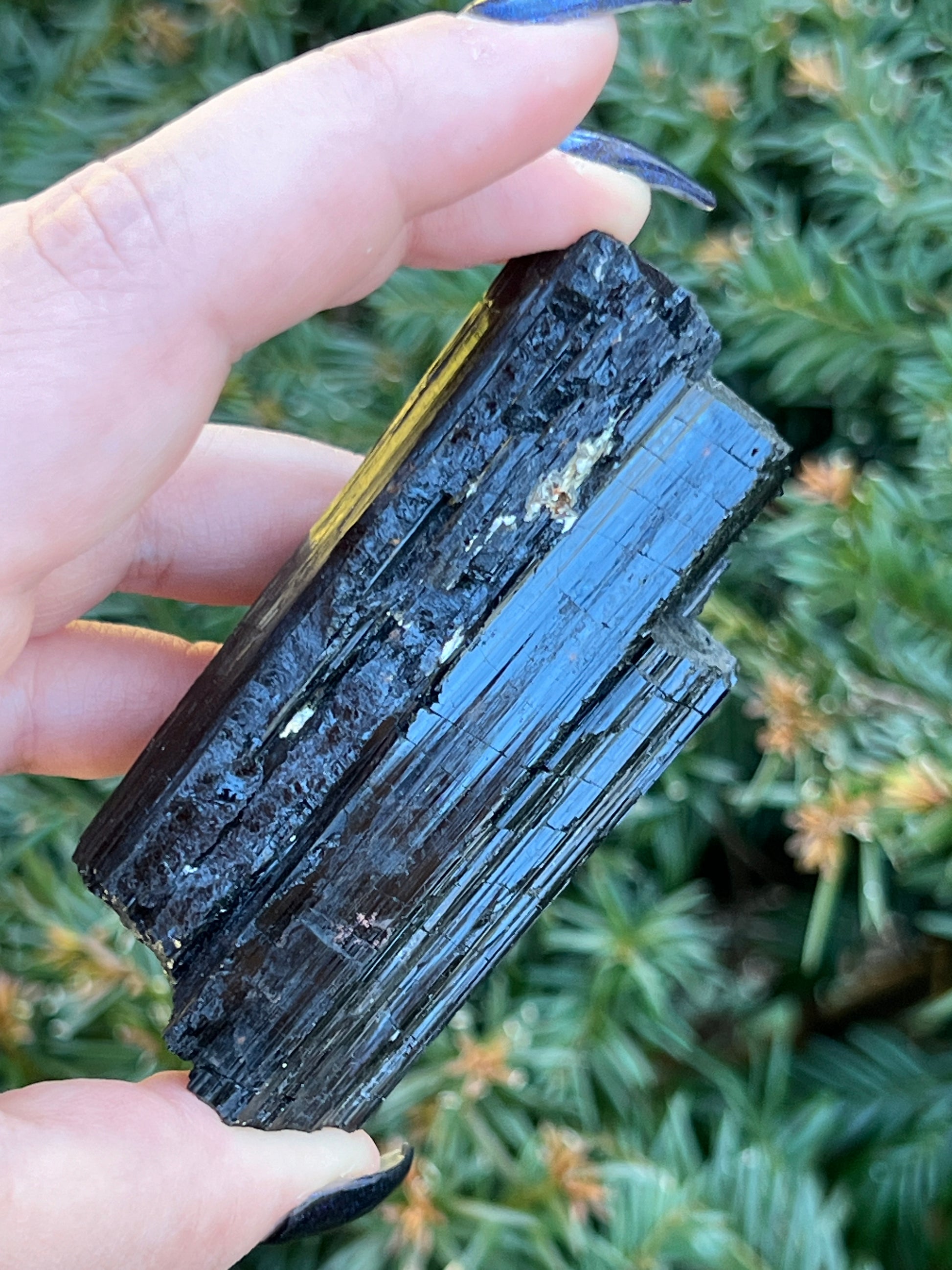 Raw Black Tourmaline || Intuitively Selected Crystal image 0