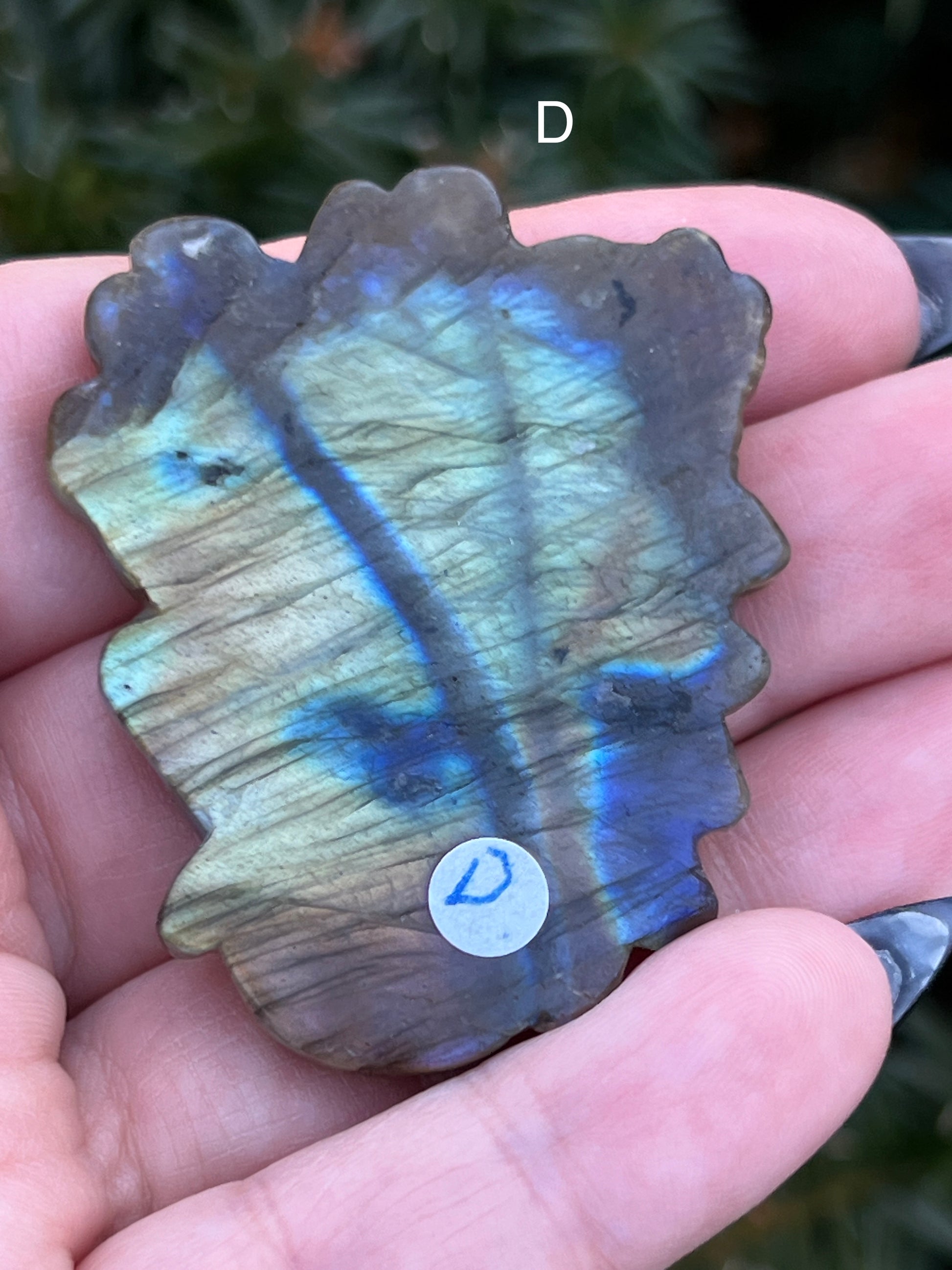 Labradorite Medusa || Choose Your Own Crystal! image 8