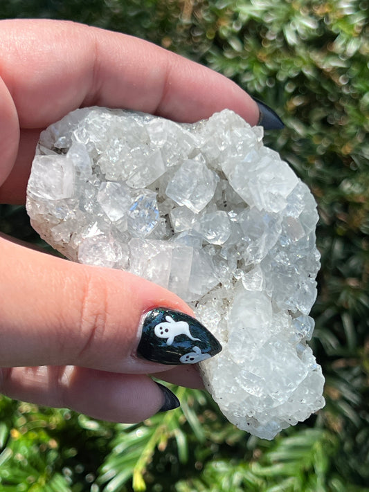 Apophyllite Clusters || Choose Your Own Crystal! image 0