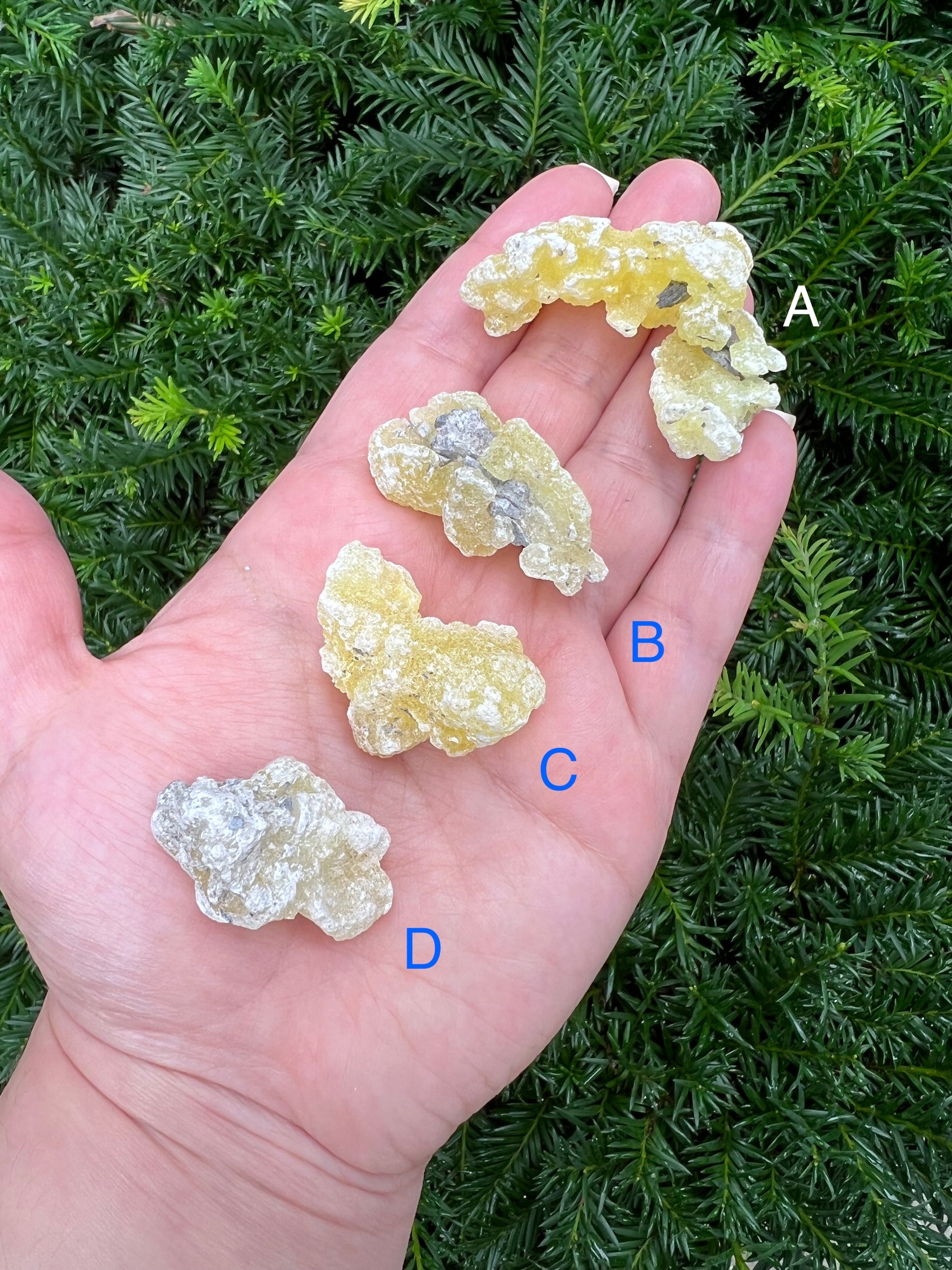 Yellow Brucite Specimens || Pick Your Own Rare Yellow Brucite! image 1