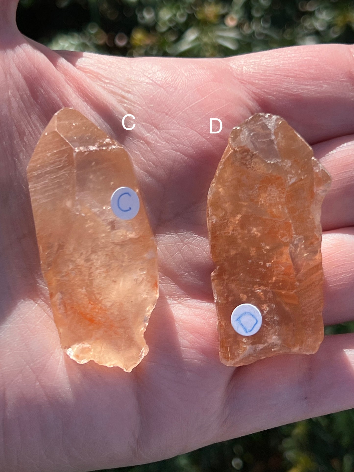 Tangerine Lemurian Quartz || Choose Your Own Crystal!