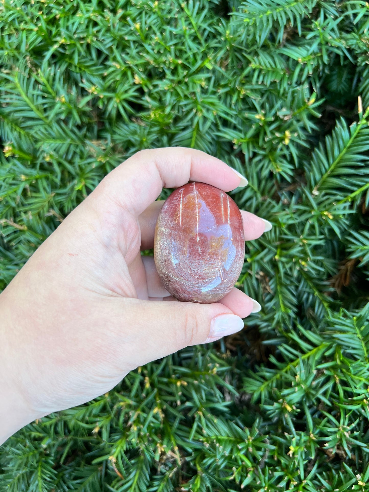 Petrified Wood Palm Stone || Intuitively Selected Palm Stone