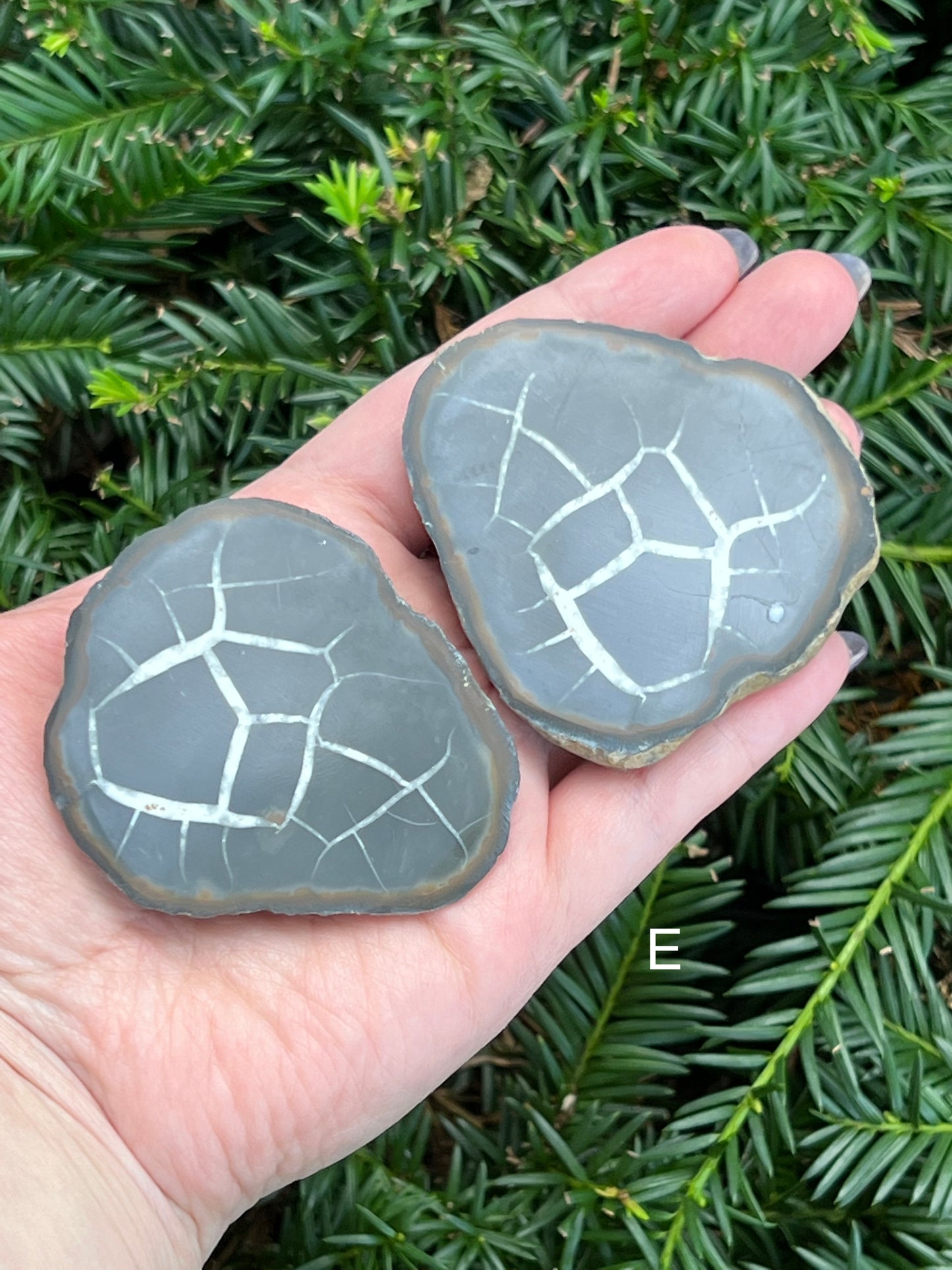 Septarian Nodes || Choose Your Own Crystal!