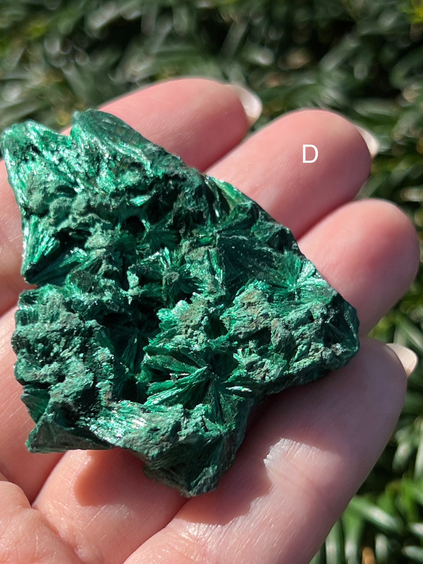 Fibrous Malachite Specimens || Choose Your Own Crystal!