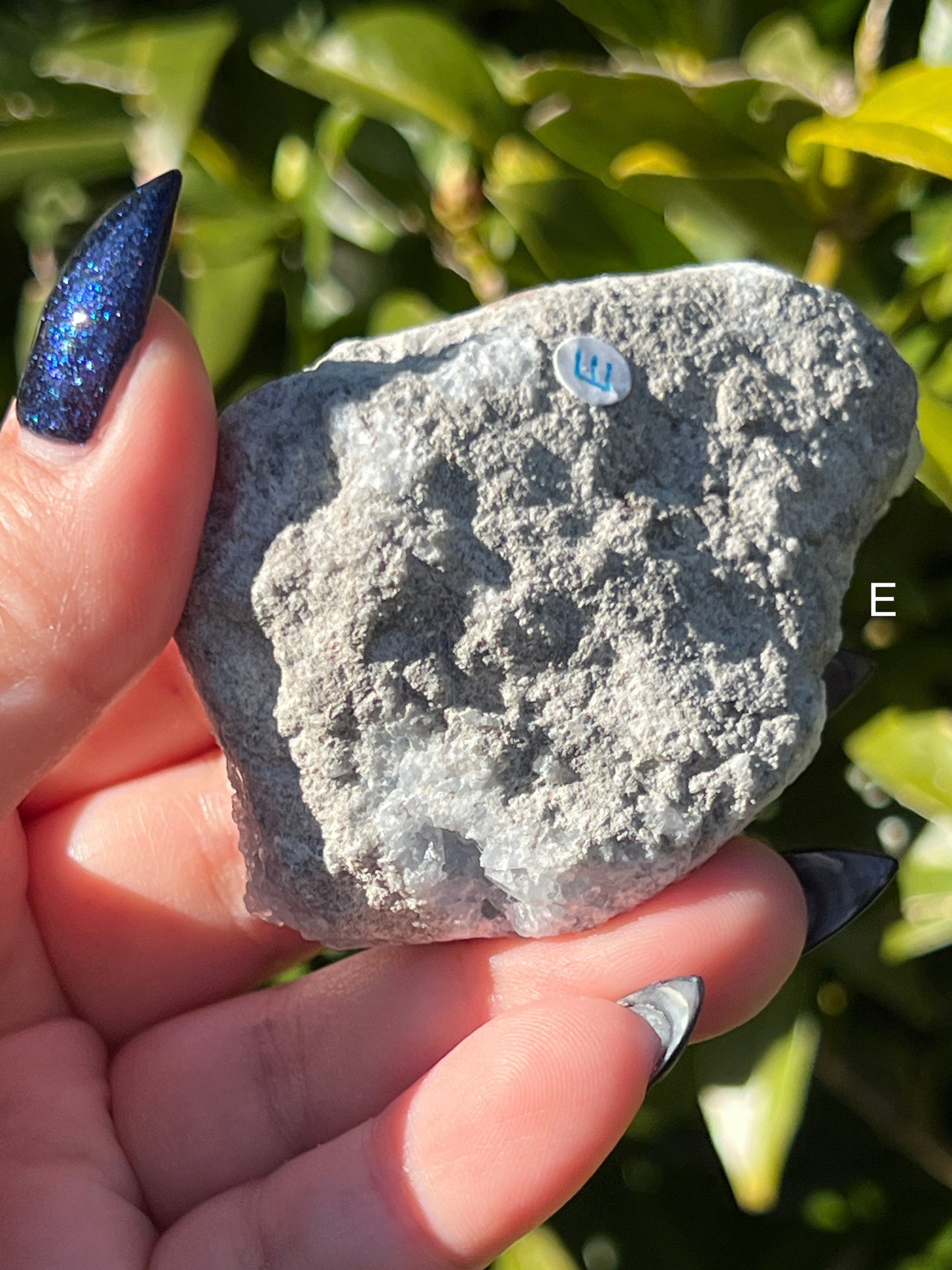 Celestite Clusters || Choose Your Own Crystal!