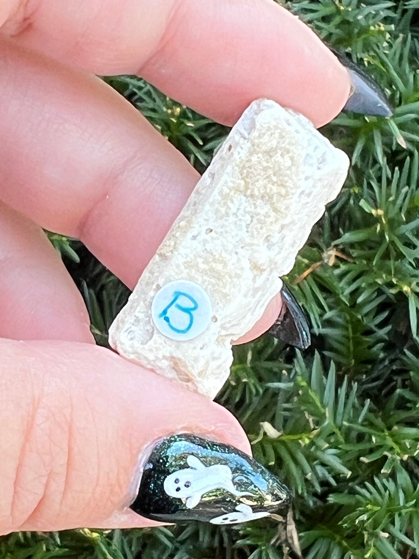 Goddess Quartz Clusters || Choose Your Own Crystal!