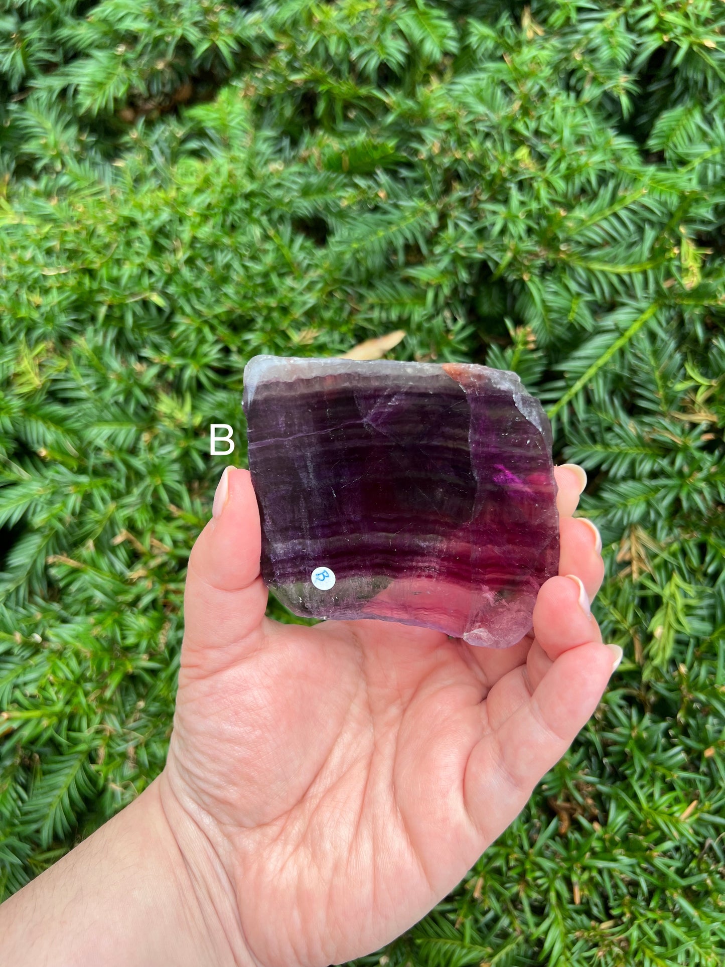 Fluorite Slabs || Choose Your Own Crystal!