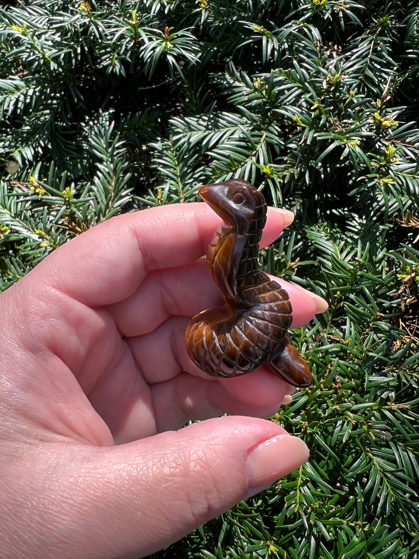 Tigers Eye Cobras || Intuitively Selected Tigers Eye Cobras