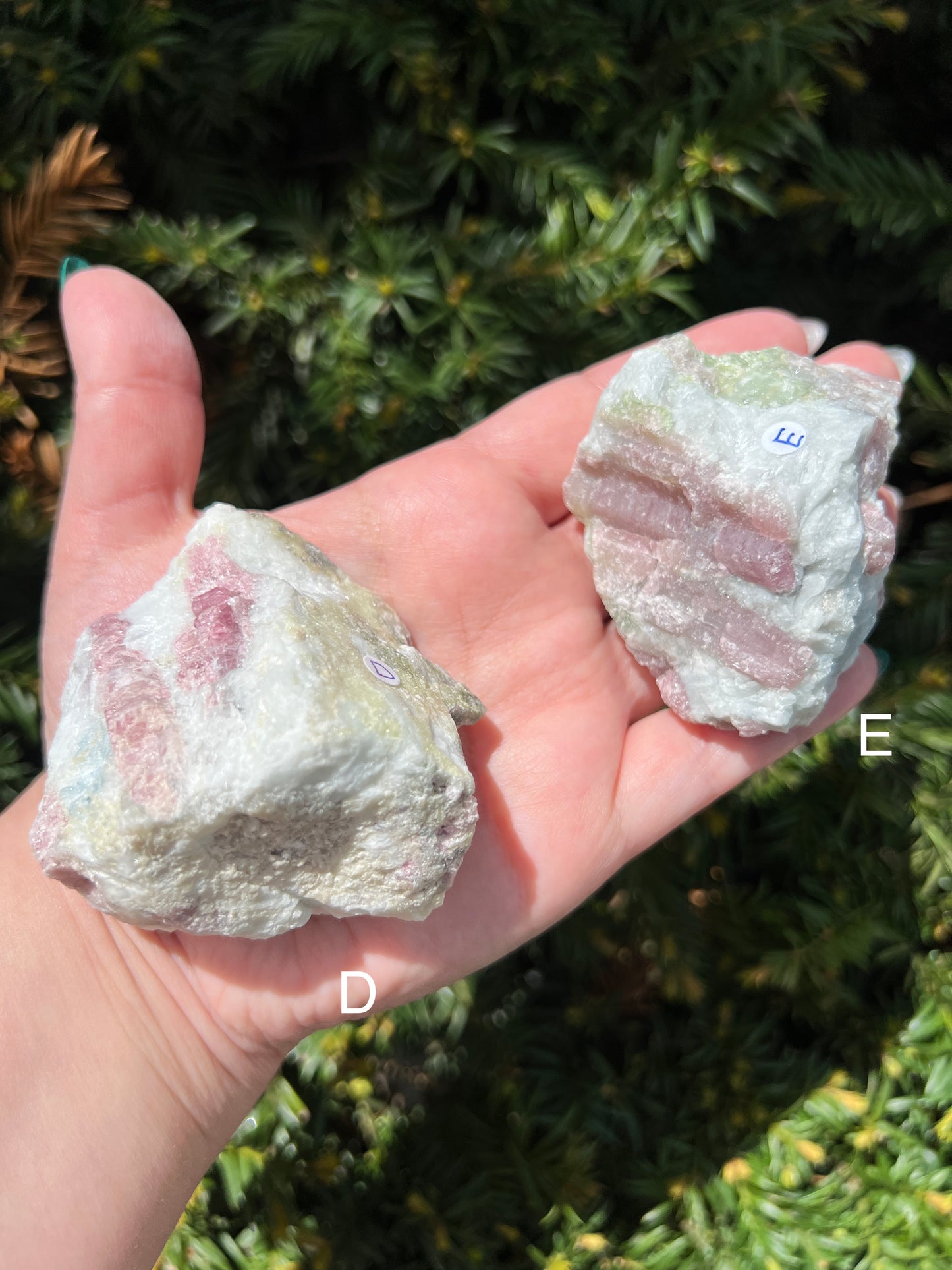 Aquamarine and Pink Tourmaline Clusters || Choose Your Own Crystal!