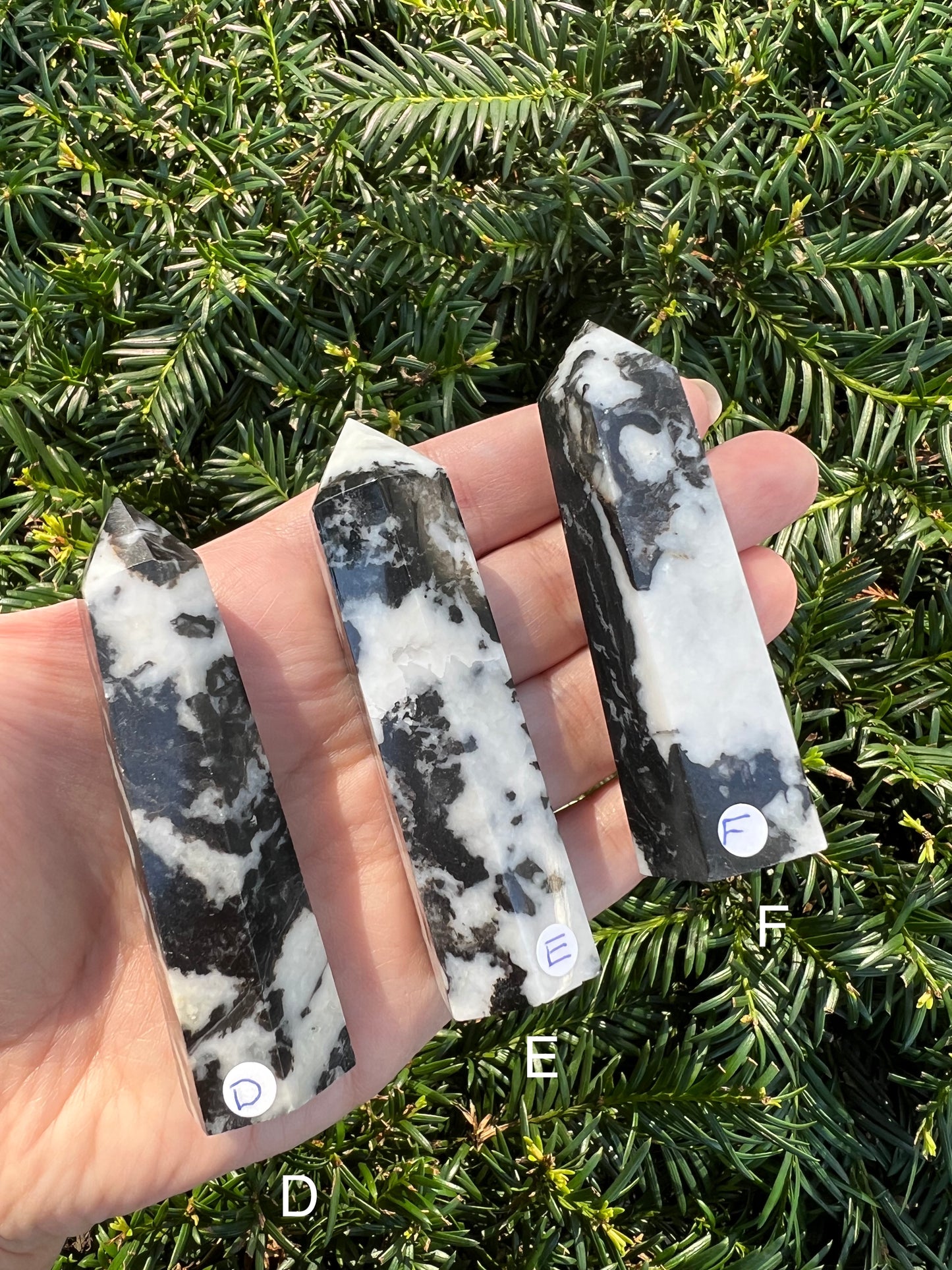 Zebra Stone Towers || Choose Your Own Crystal!