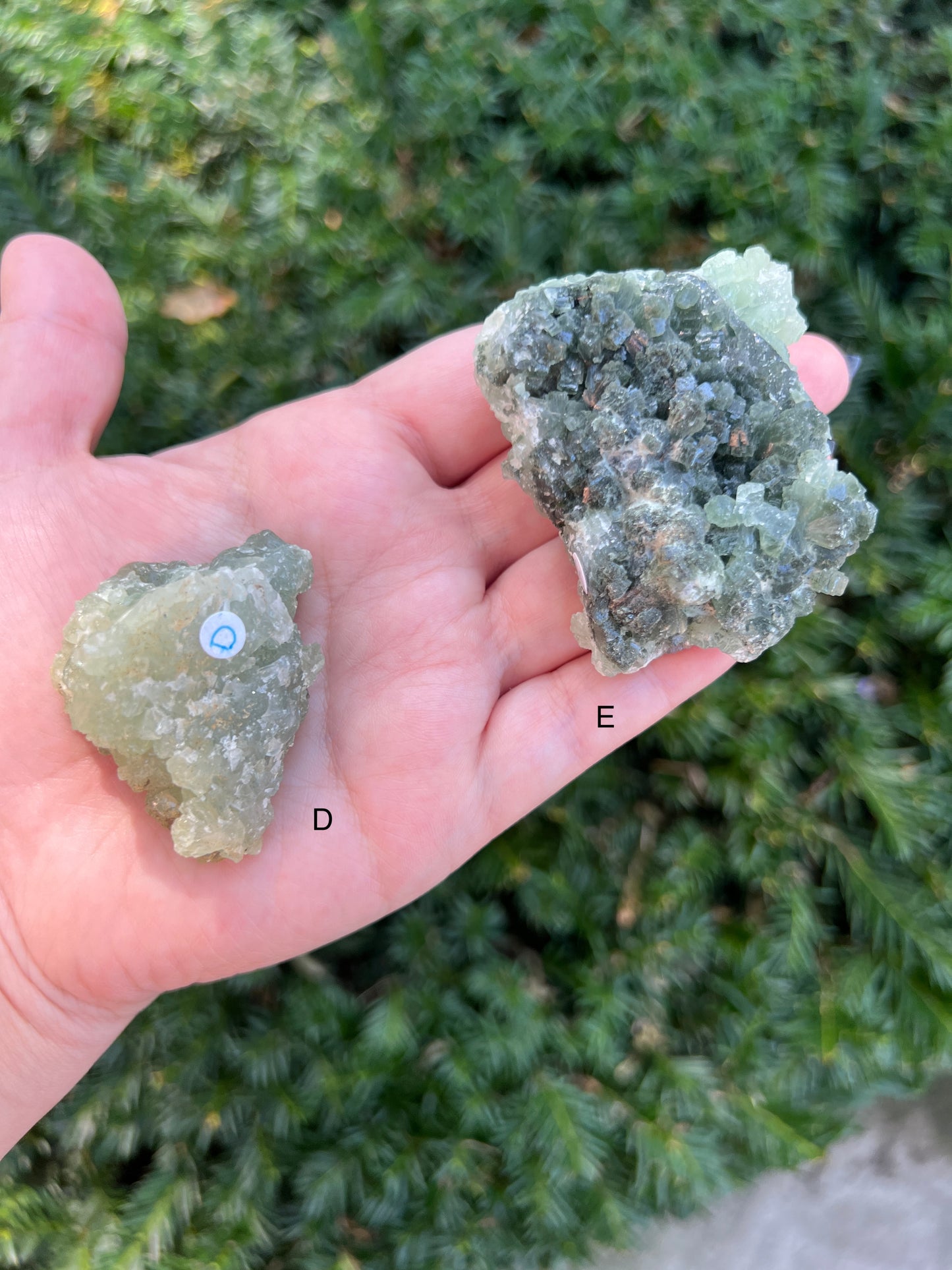 Prehnite & Epidote Clusters || Choose Your Own Crystal