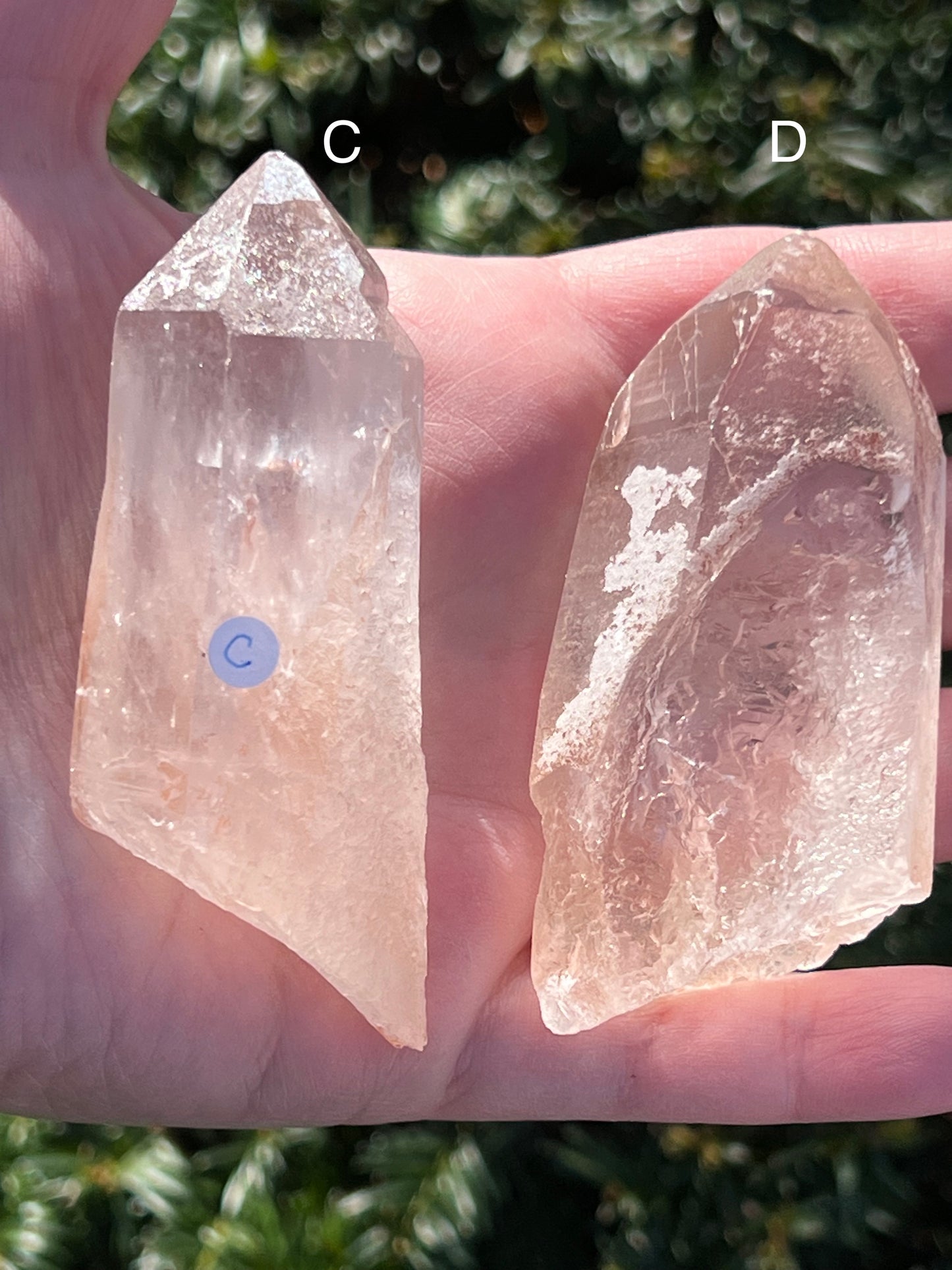 Strawberry Lemurian Quartz || Choose Your Own Crystal!