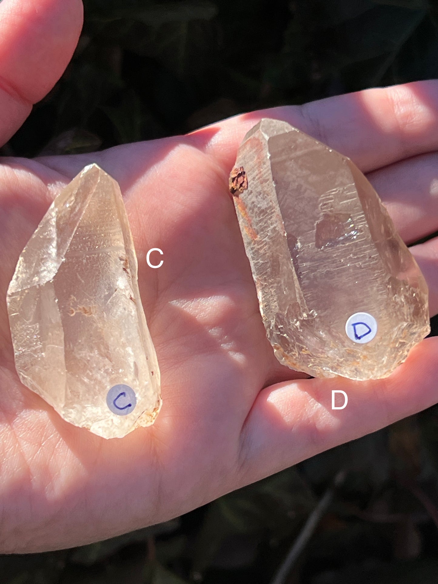 Smoky Lemurian Quartz || Choose Your Own Crystal!