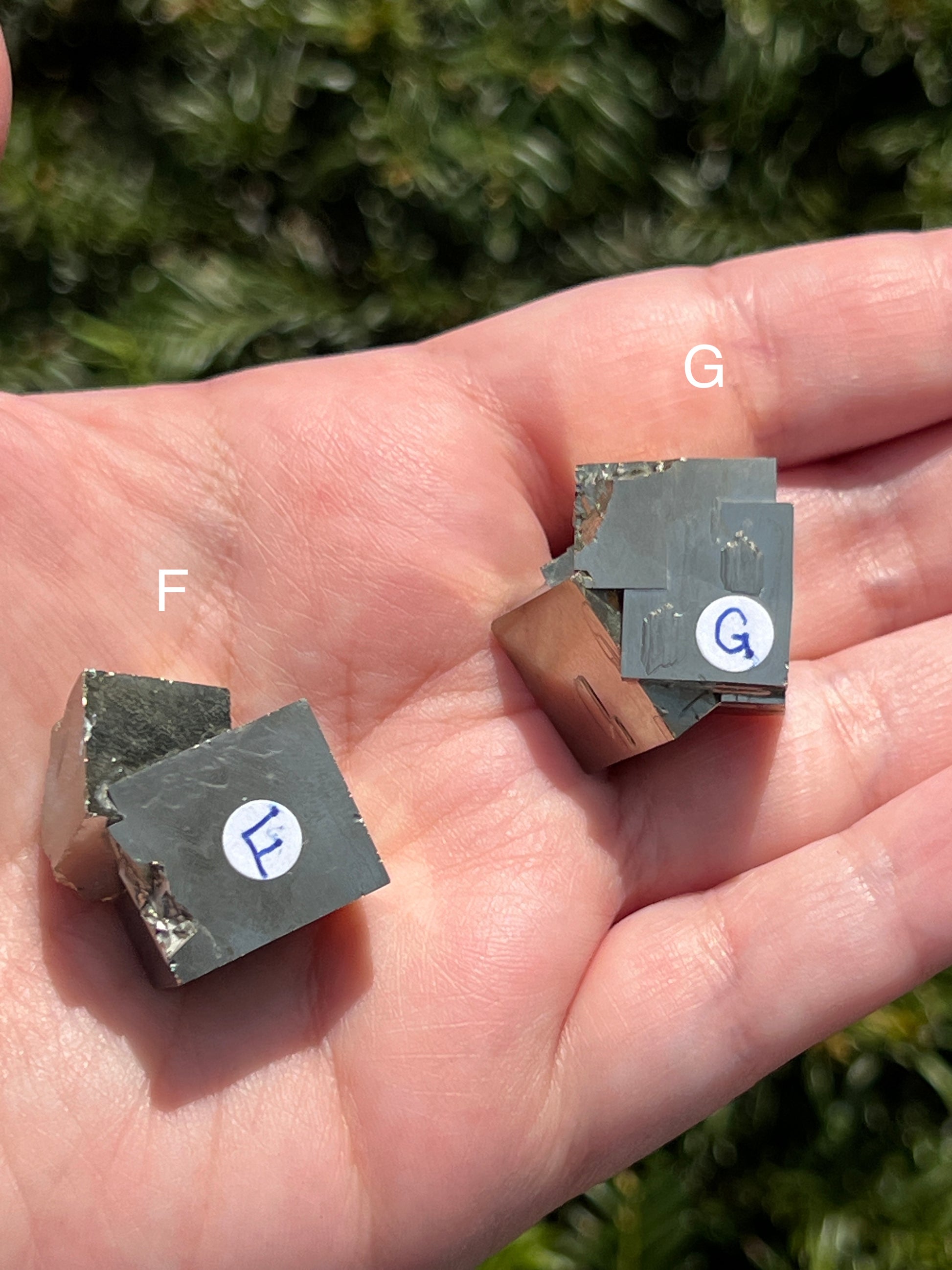 Pyrite Cube Clusters || Intergrowth Pyrite || Choose Your Own Crystal! image 6