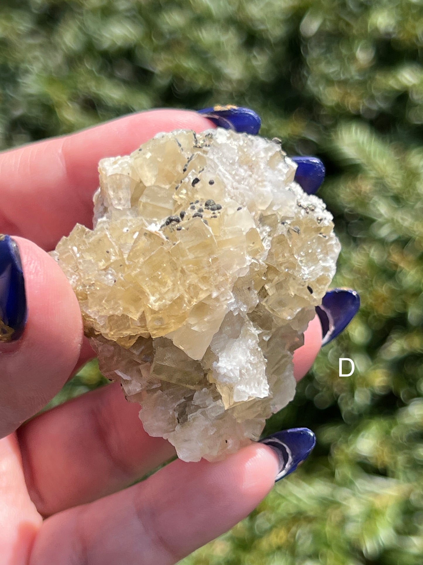 Yellow Fluorite Cluster || Choose Your Own Crystal!