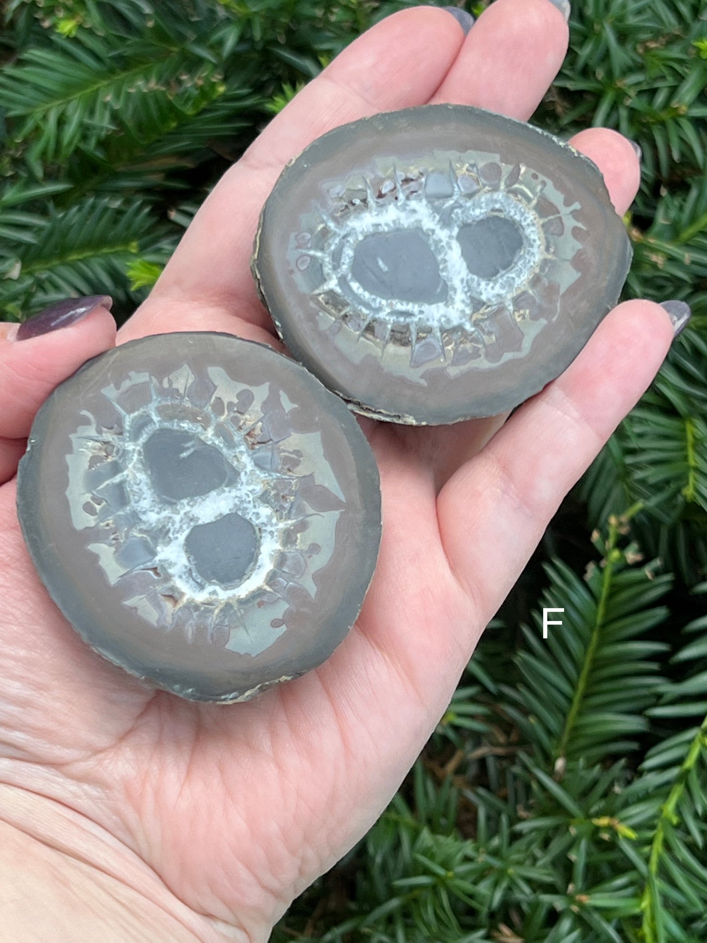 Septarian Nodes || Choose Your Own Crystal!