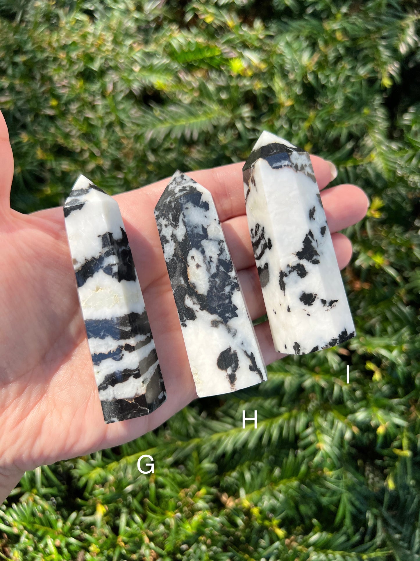 Zebra Stone Towers || Choose Your Own Crystal!