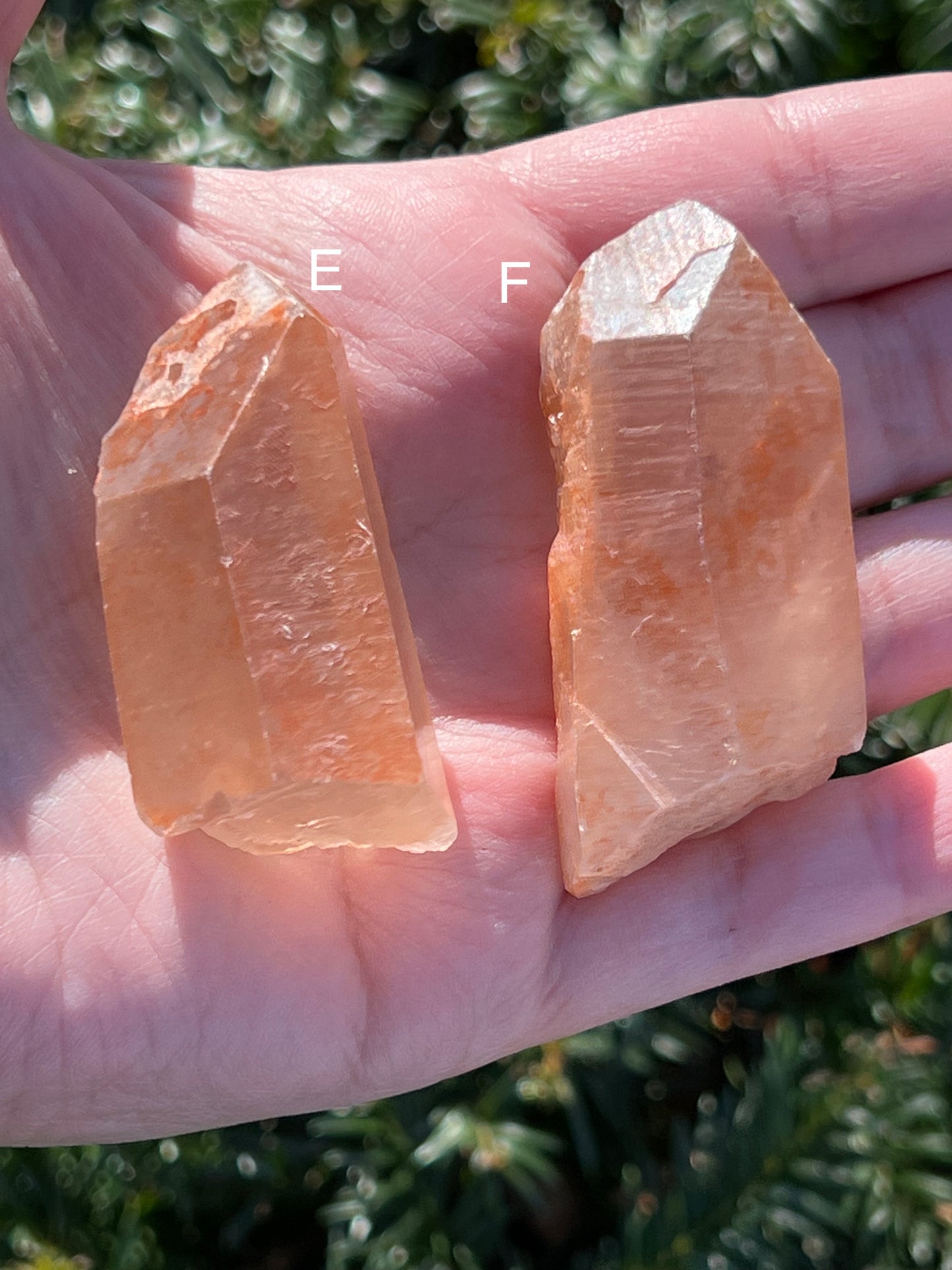 Tangerine Lemurian Quartz || Choose Your Own Crystal!