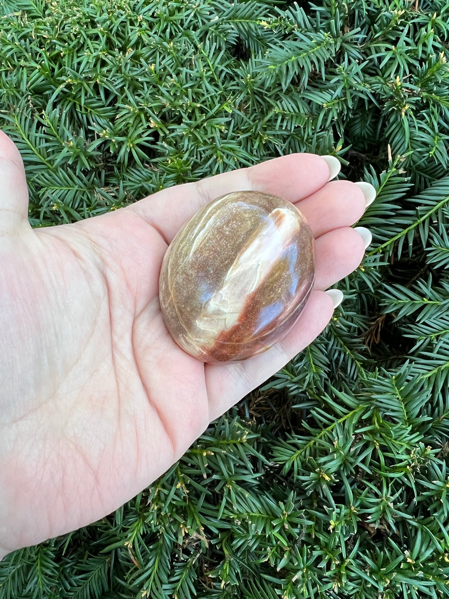 Petrified Wood Palm Stone || Intuitively Selected Palm Stone