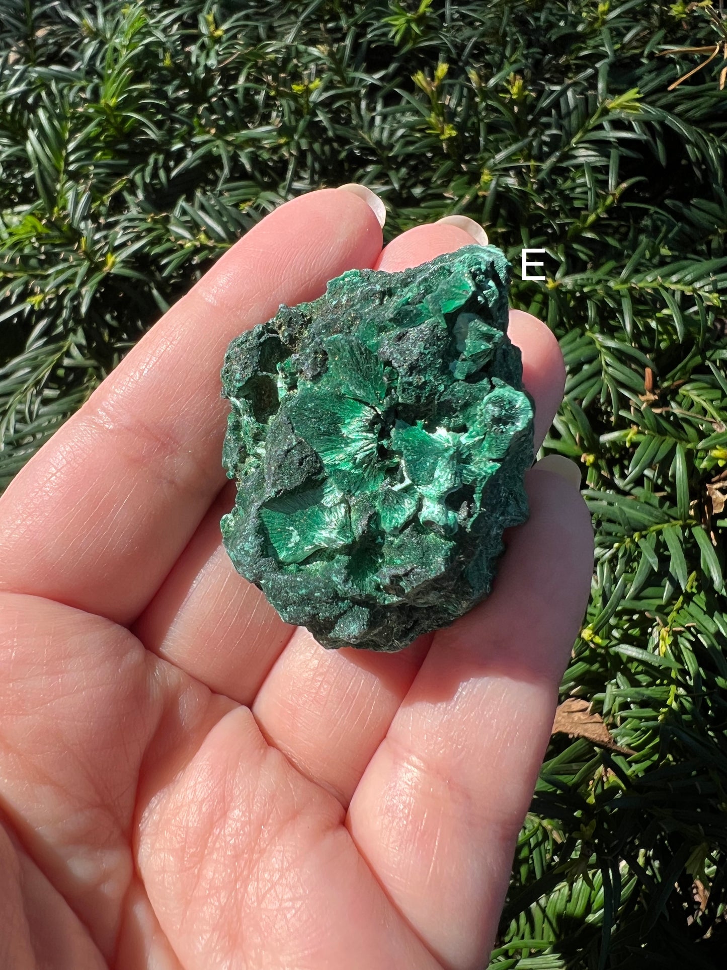 Fibrous Malachite Specimens || Choose Your Own Crystal!